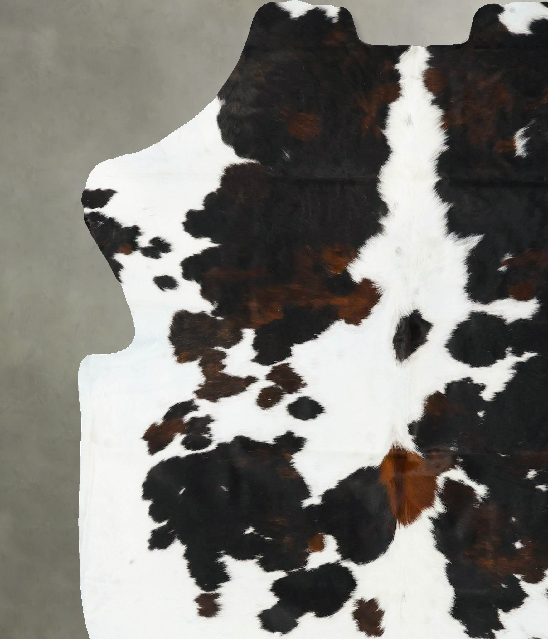 Tricolor Cowhide Rug #B22994