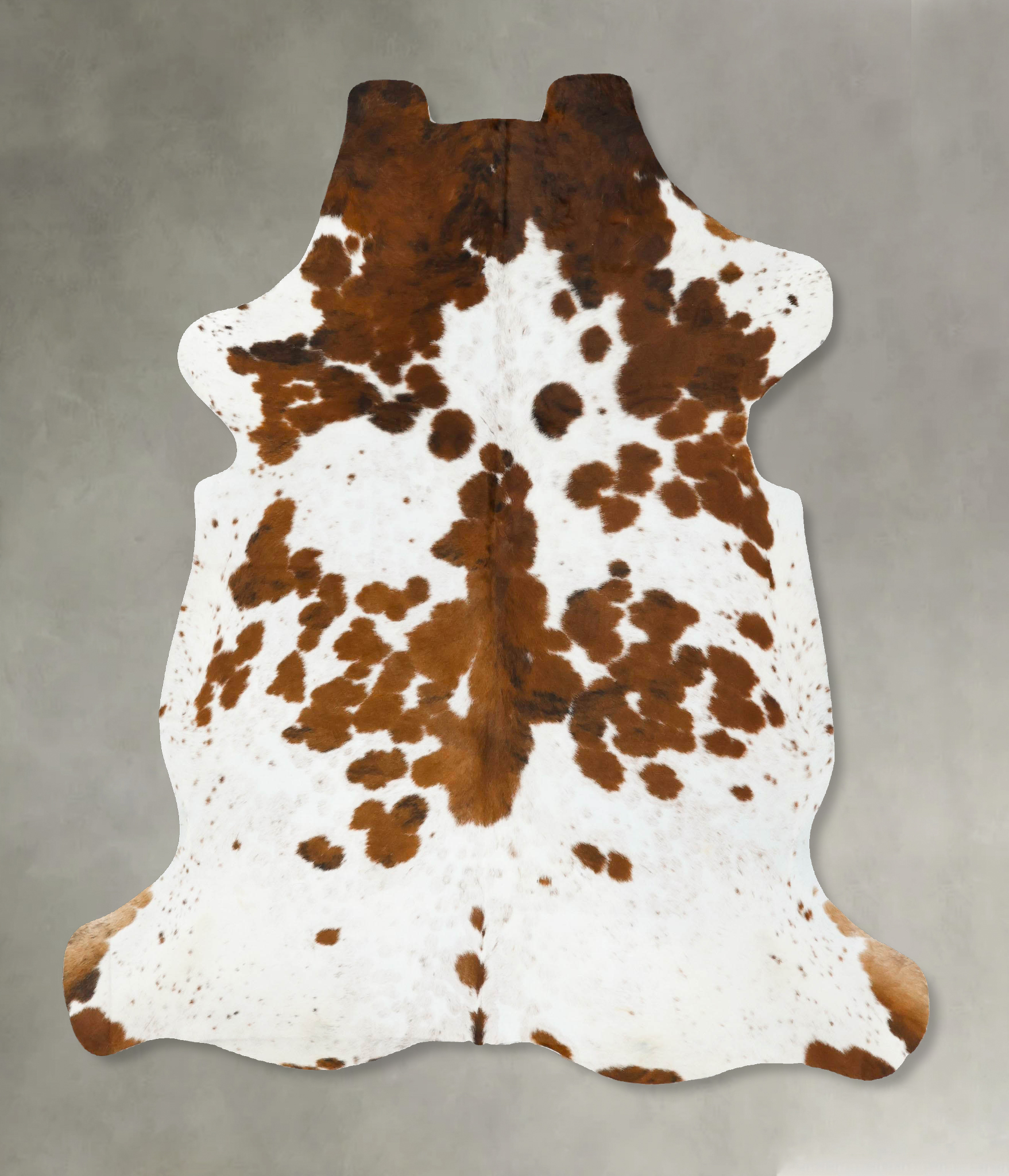 Tricolor Cowhide Rug #B22996