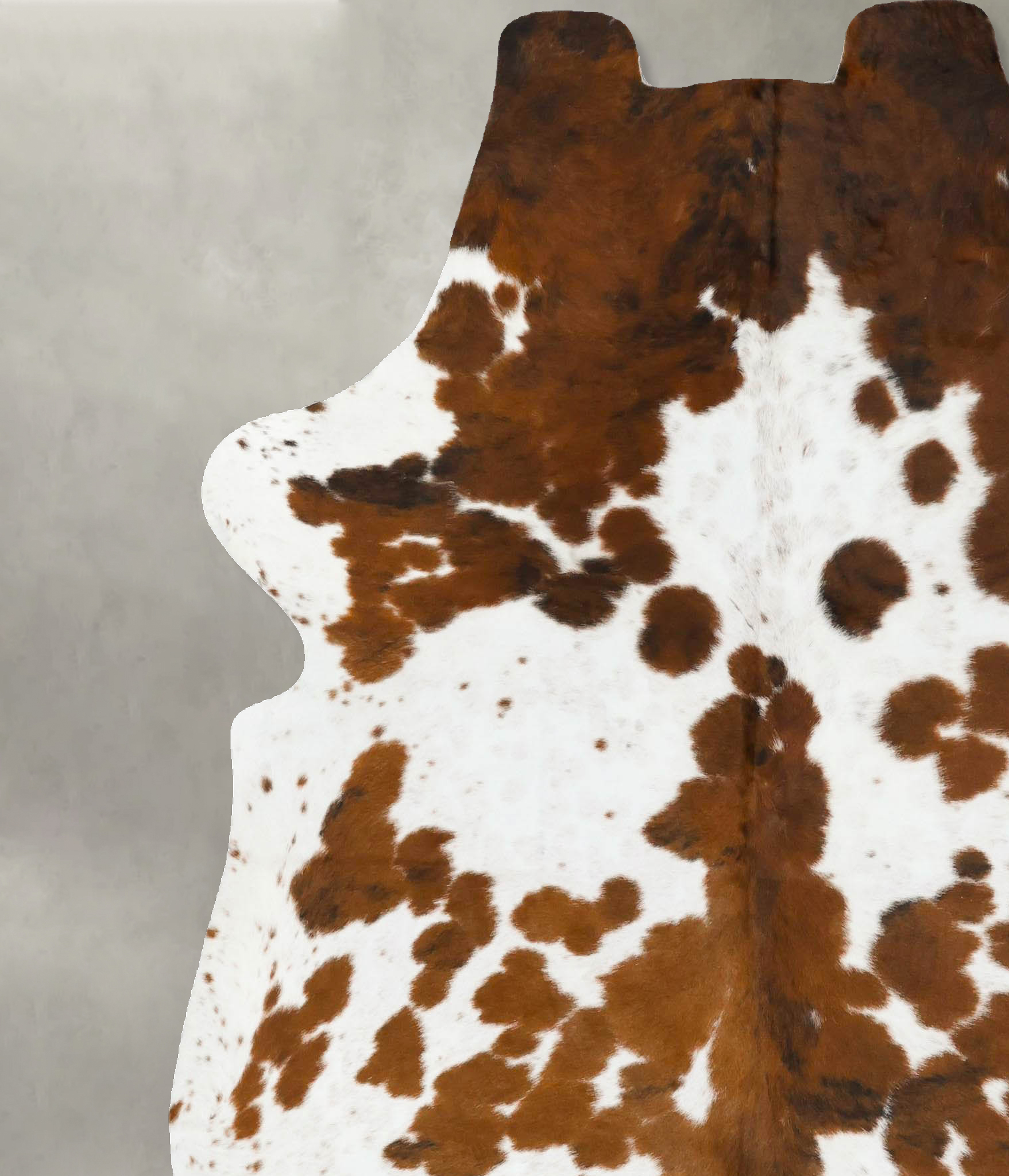 Tricolor Cowhide Rug #B22996