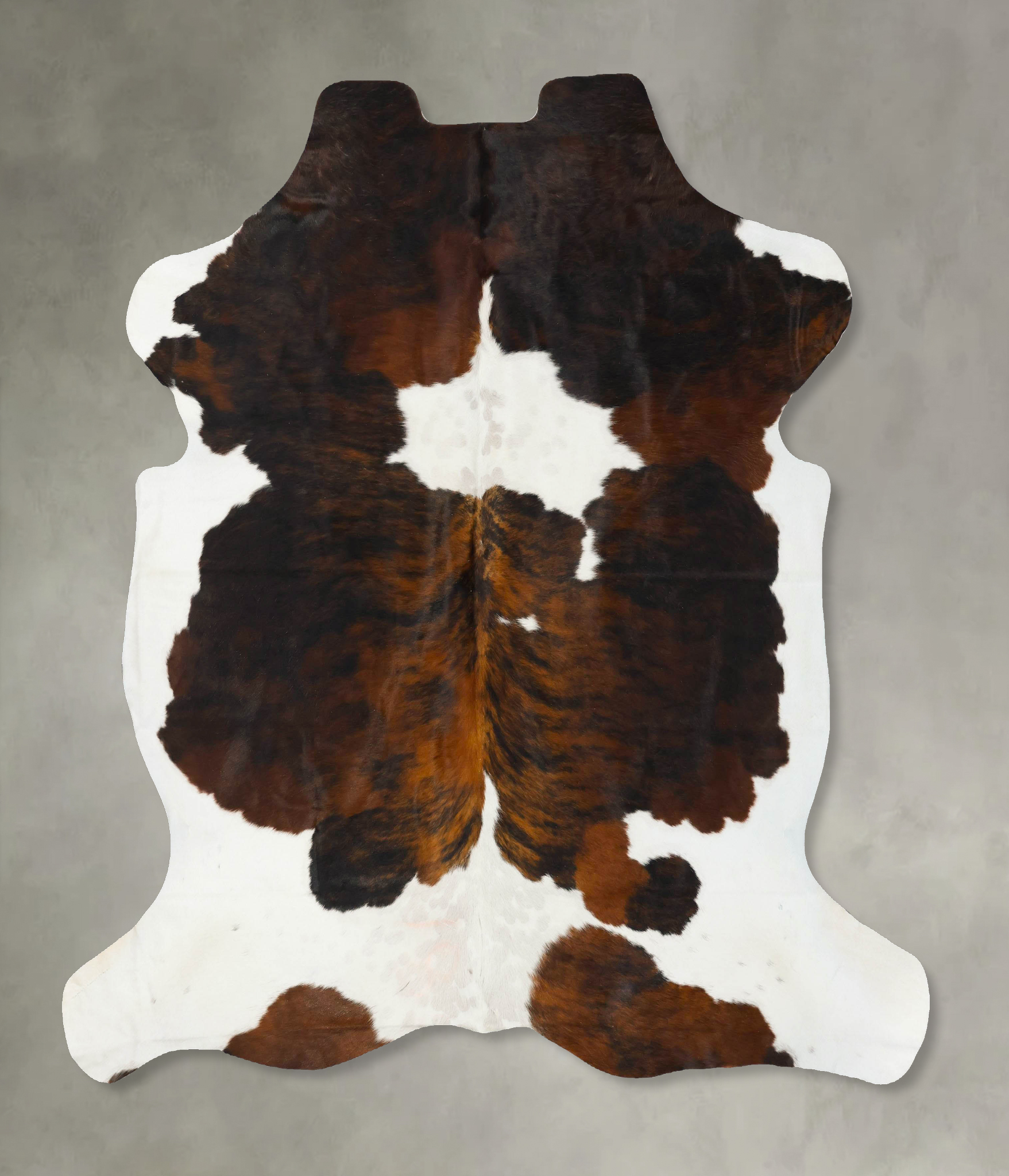 Tricolor Cowhide Rug #B22997