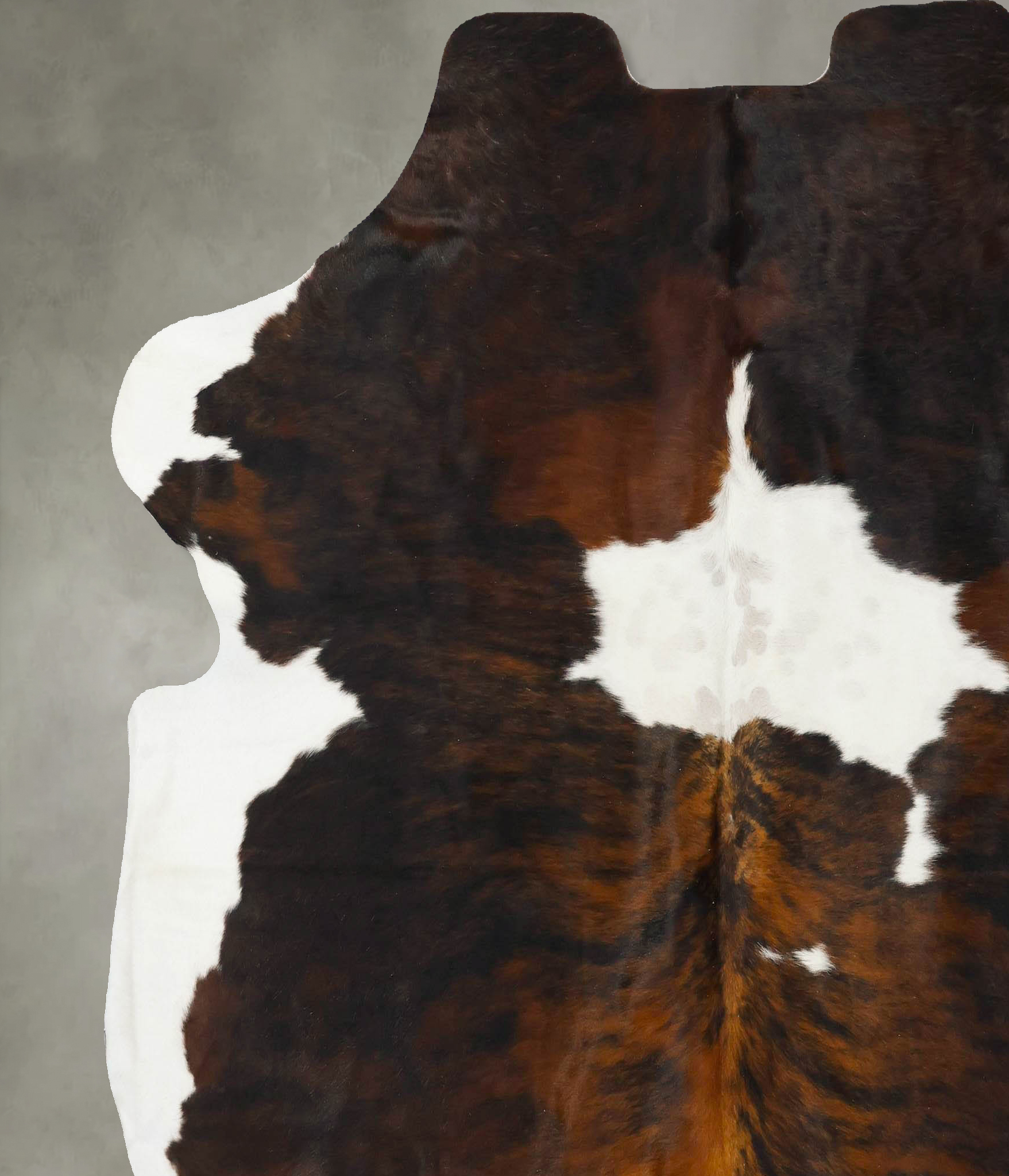 Tricolor Cowhide Rug #B22997