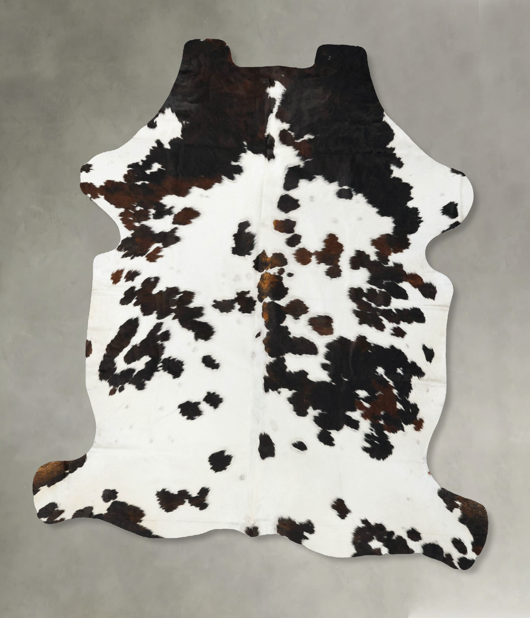 Tricolor Cowhide Rug #B22999