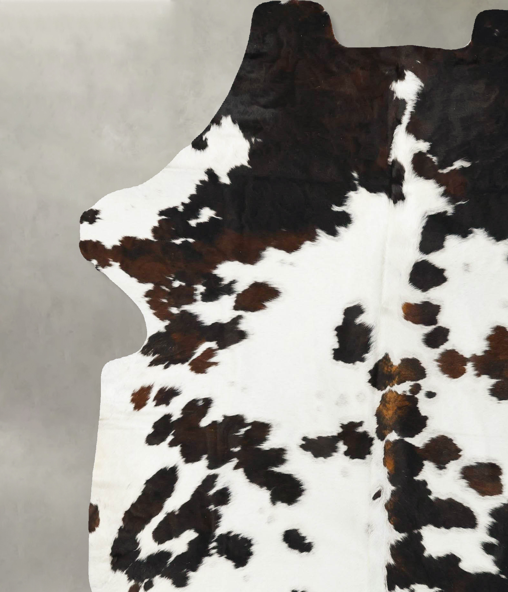 Tricolor Cowhide Rug #B22999