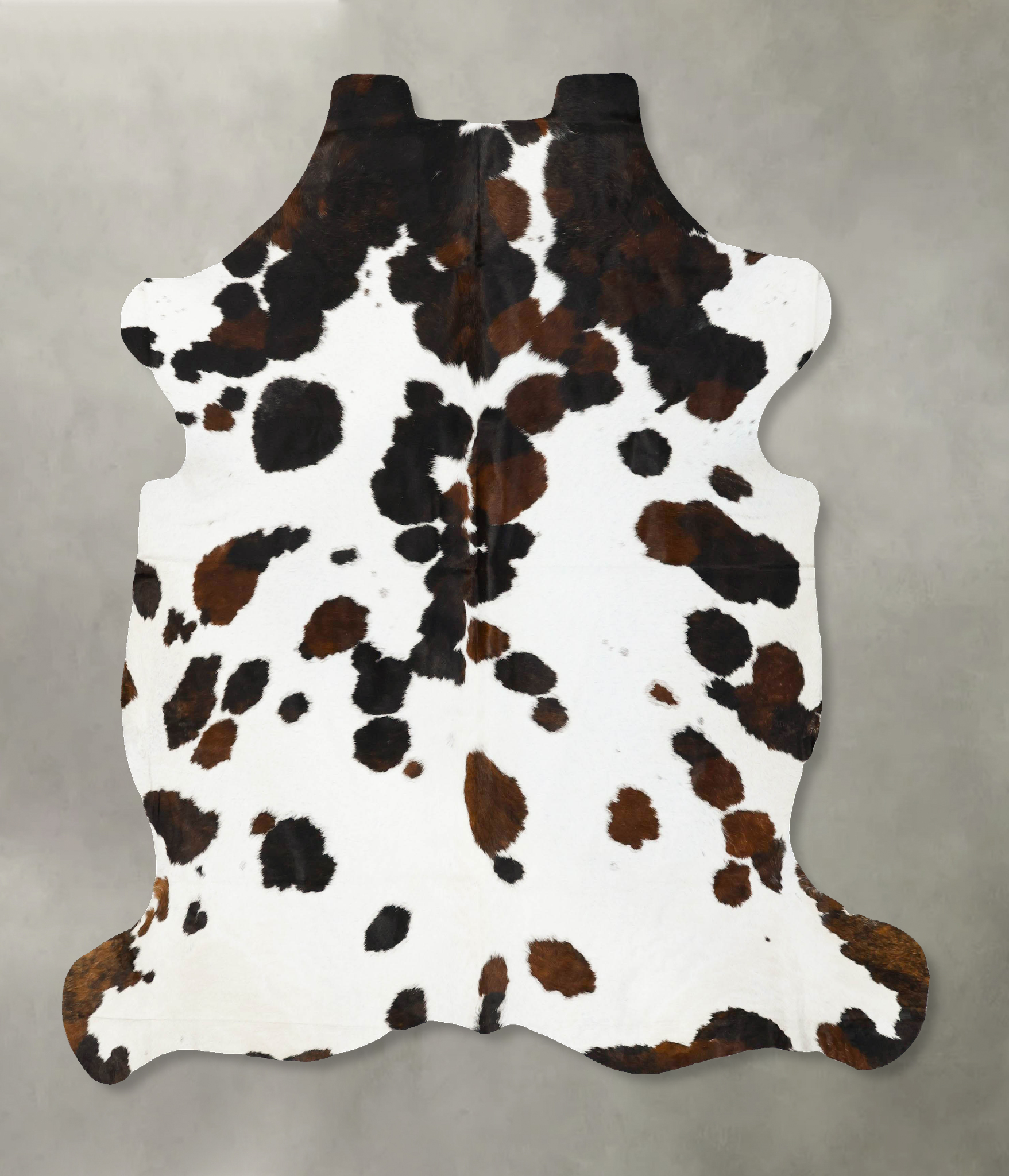 Tricolor Cowhide Rug #B23001