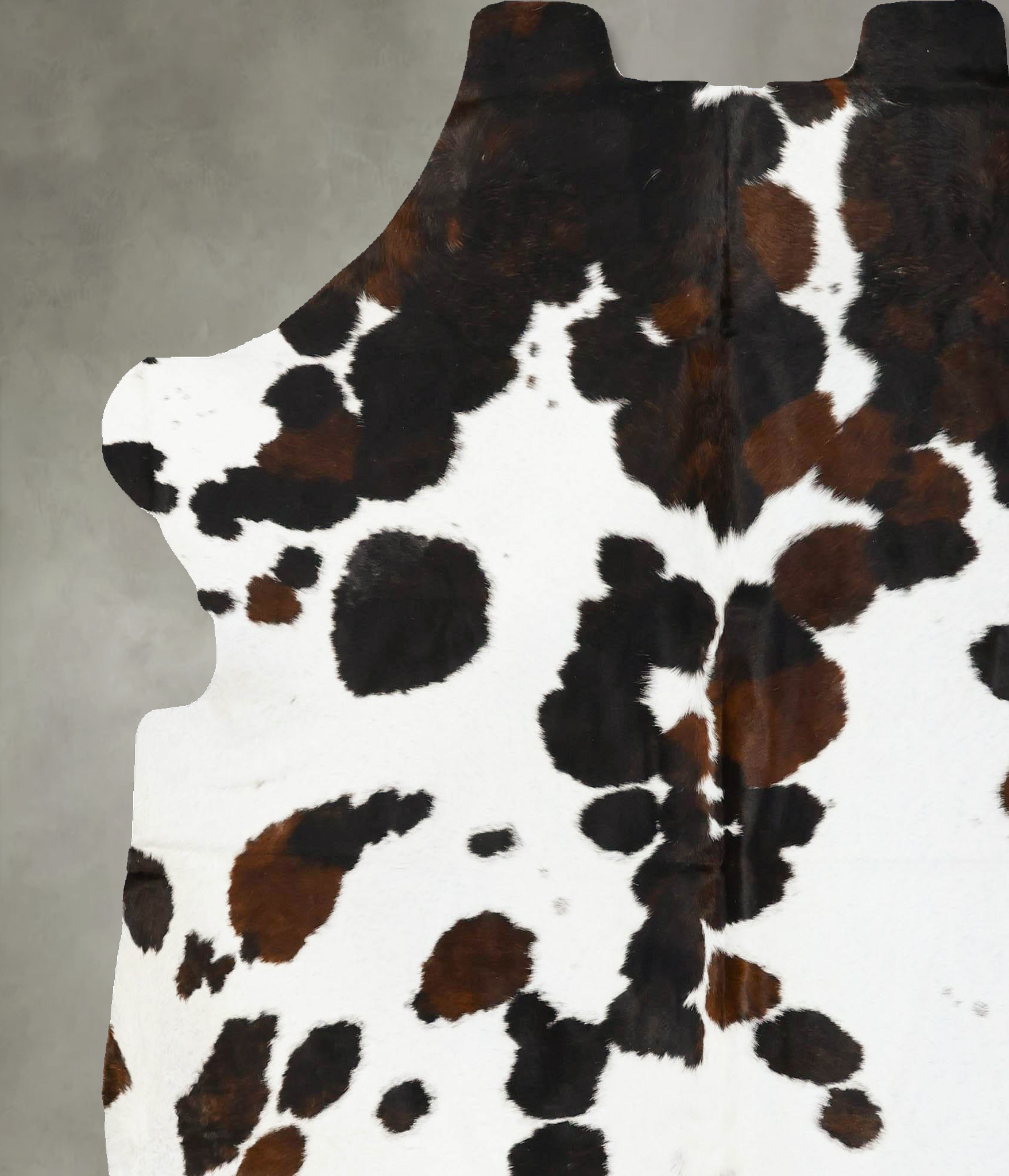 Tricolor Cowhide Rug #B23001