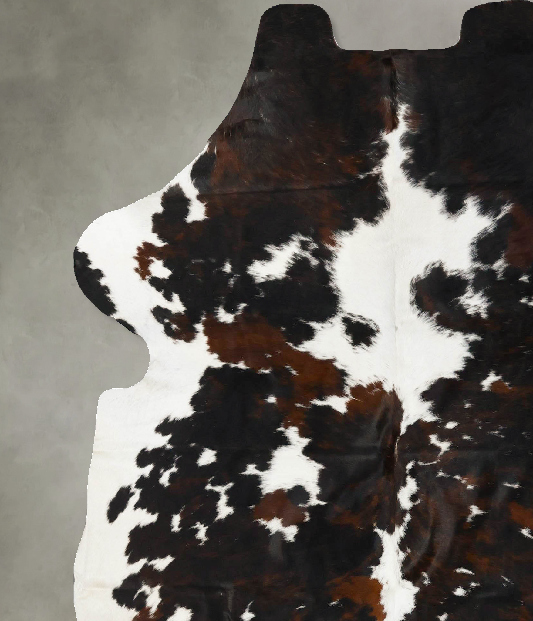 Tricolor Cowhide Rug #B23003
