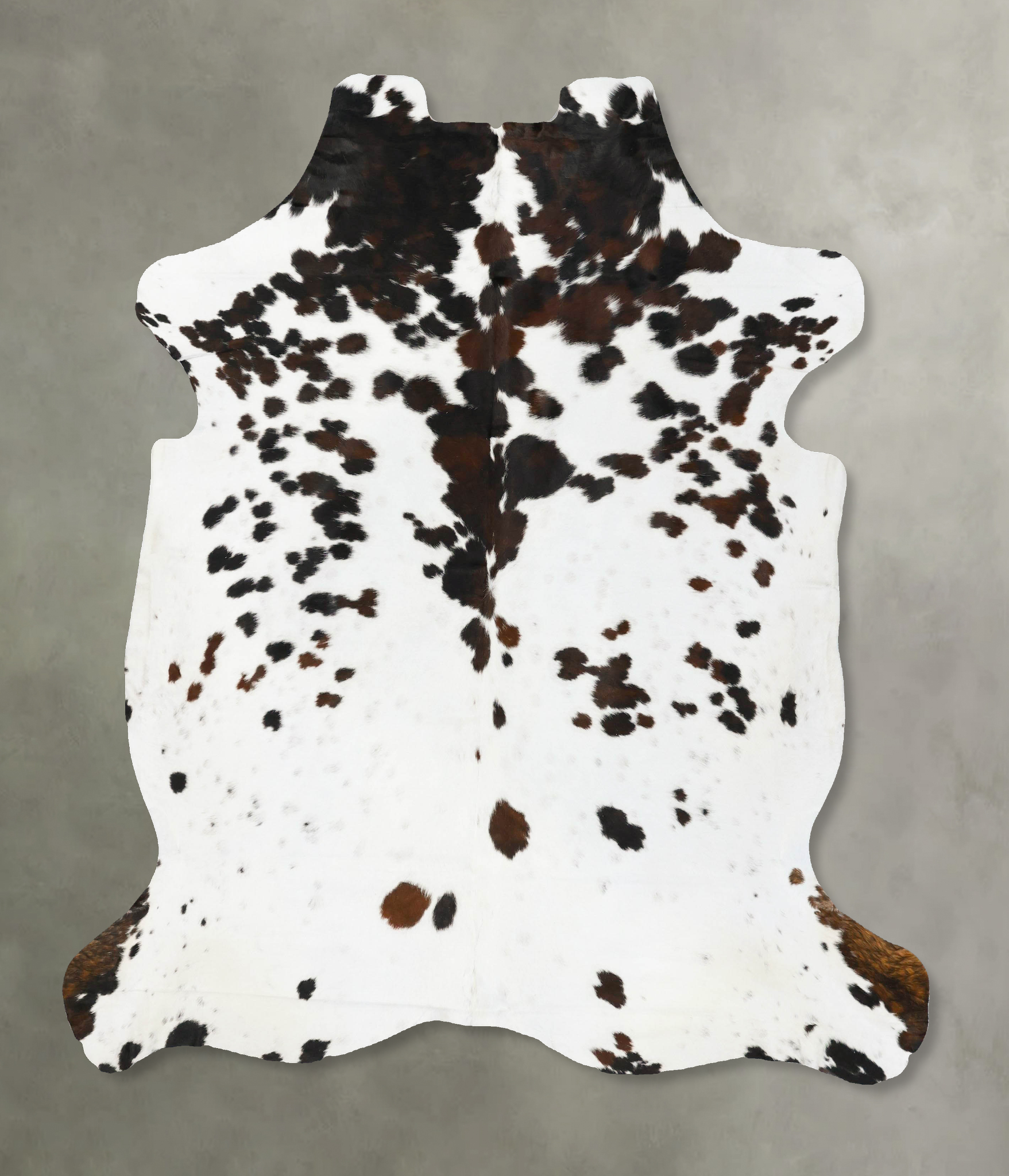 Tricolor Cowhide Rug #B23004