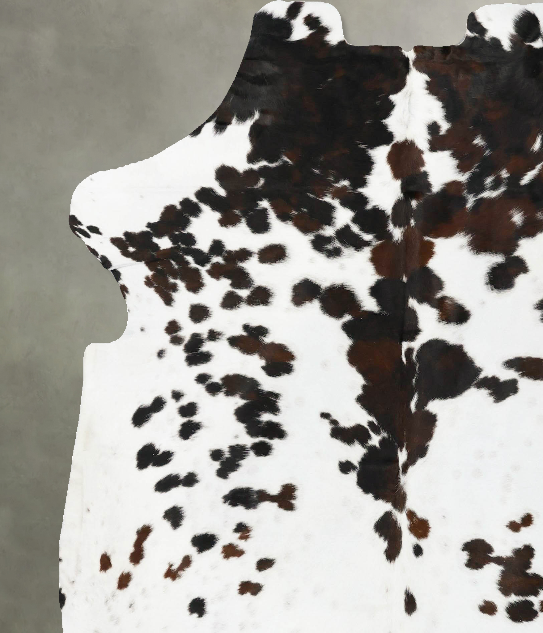 Tricolor Cowhide Rug #B23004