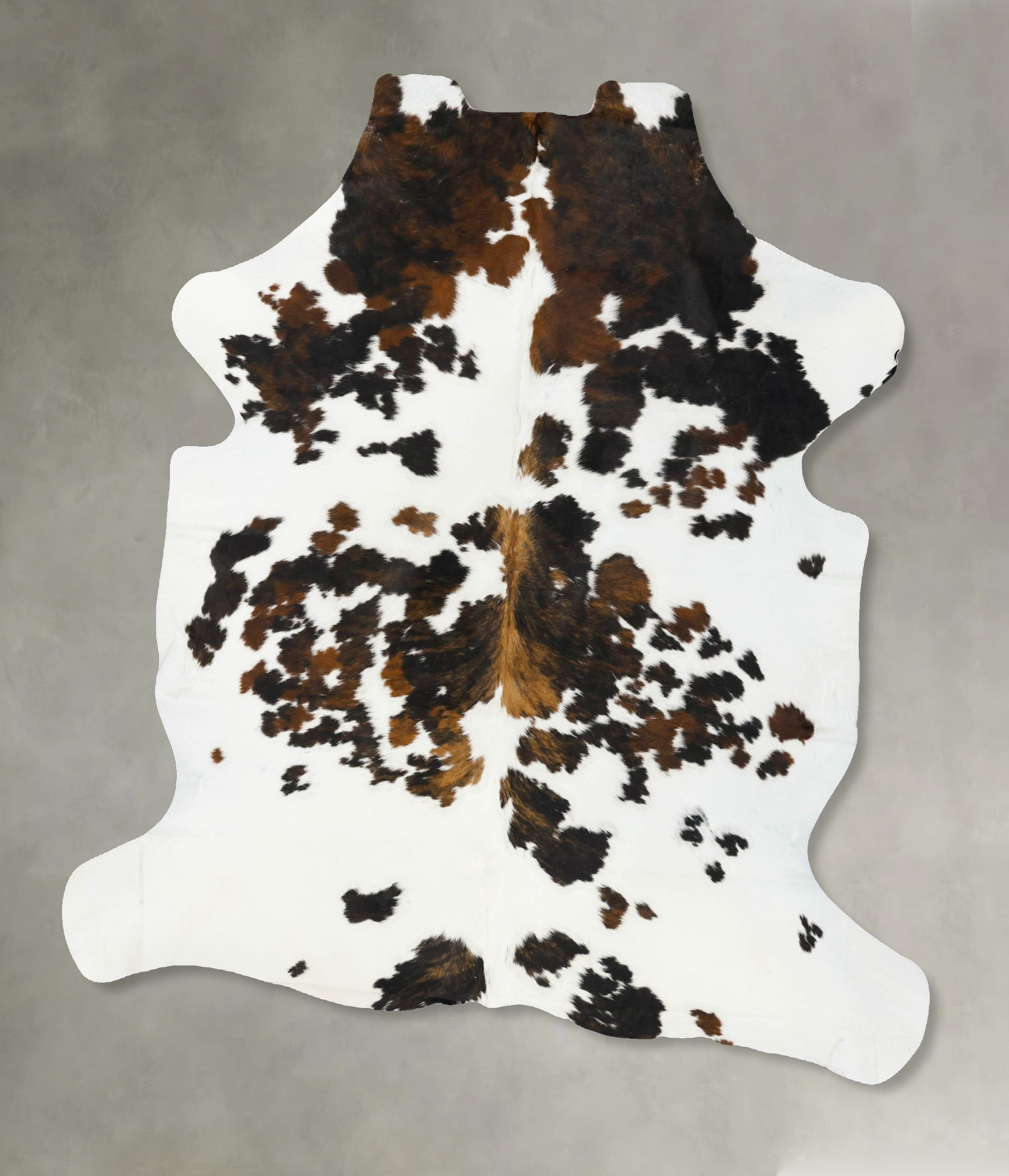 Tricolor Cowhide Rug #B23005