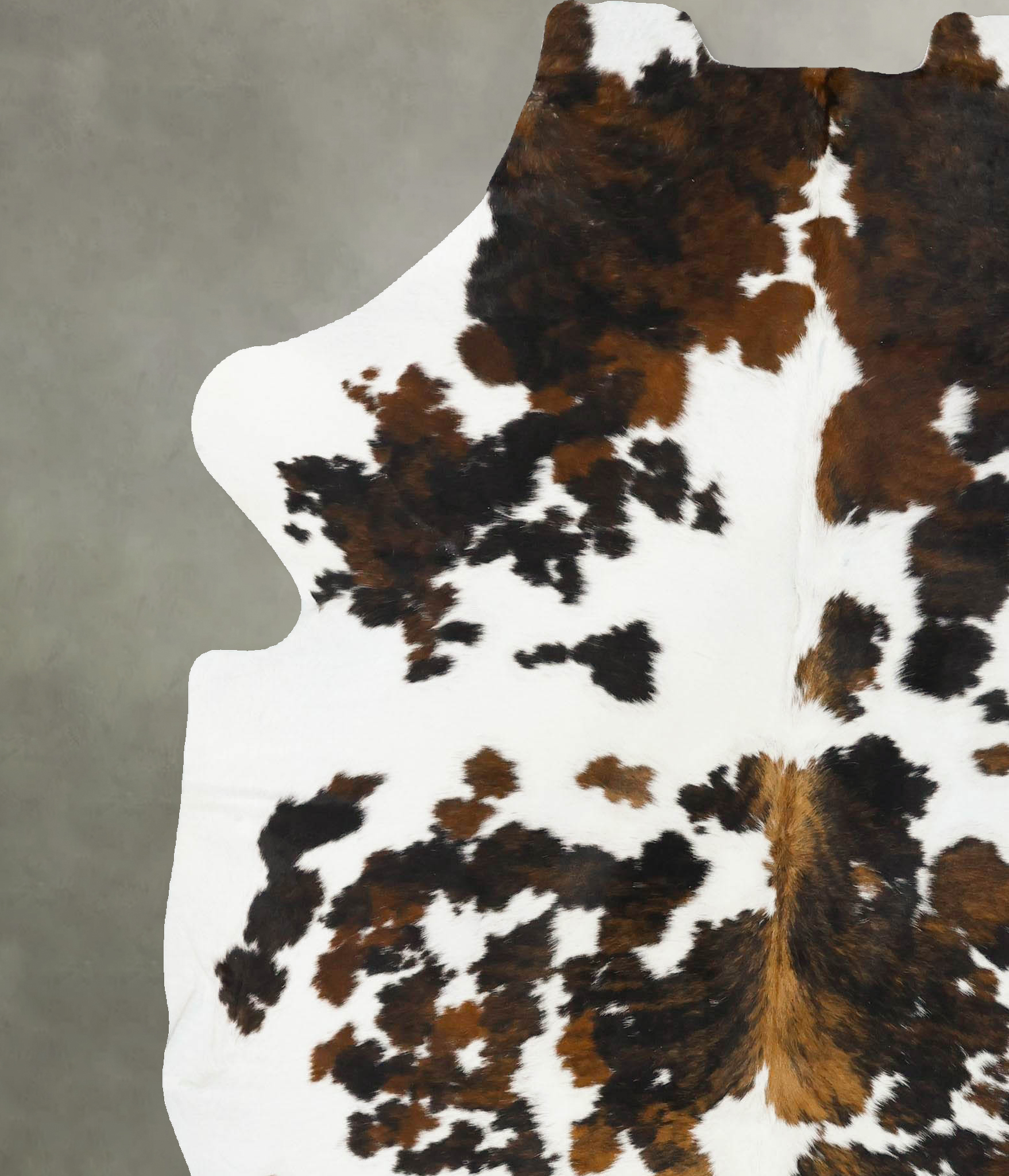 Tricolor Cowhide Rug #B23005