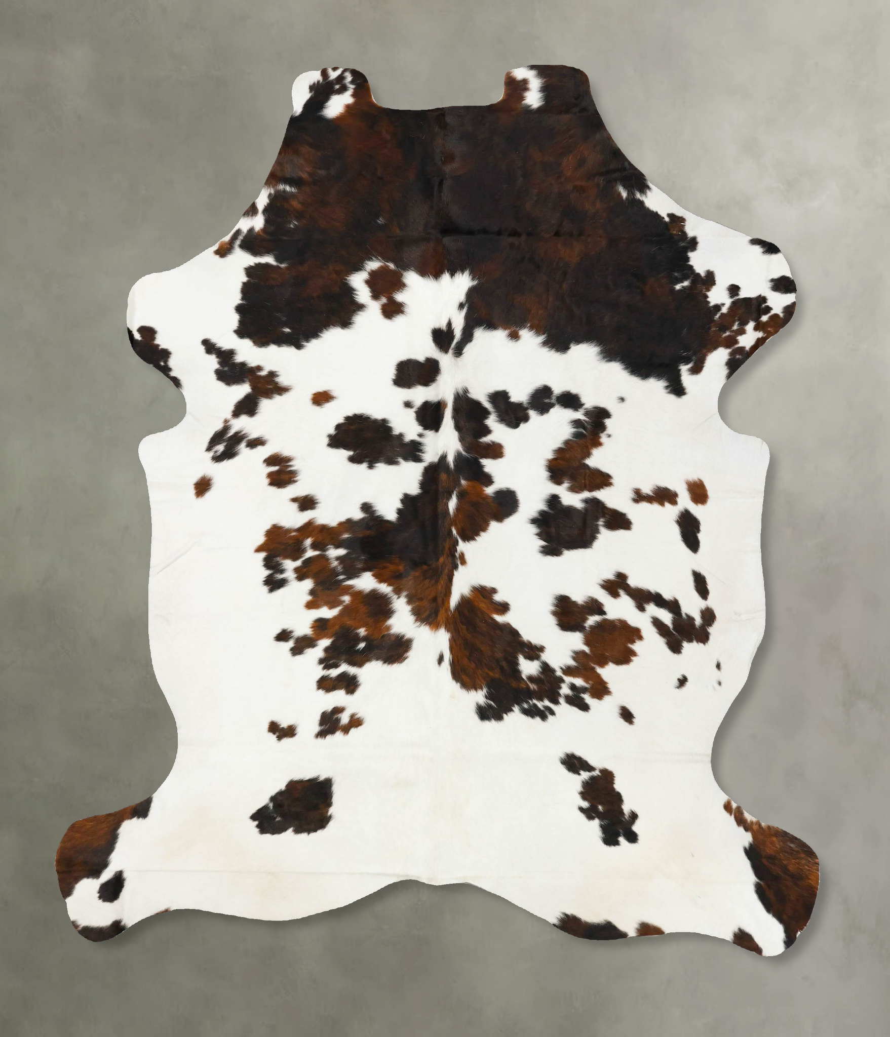 Tricolor Cowhide Rug #B23006