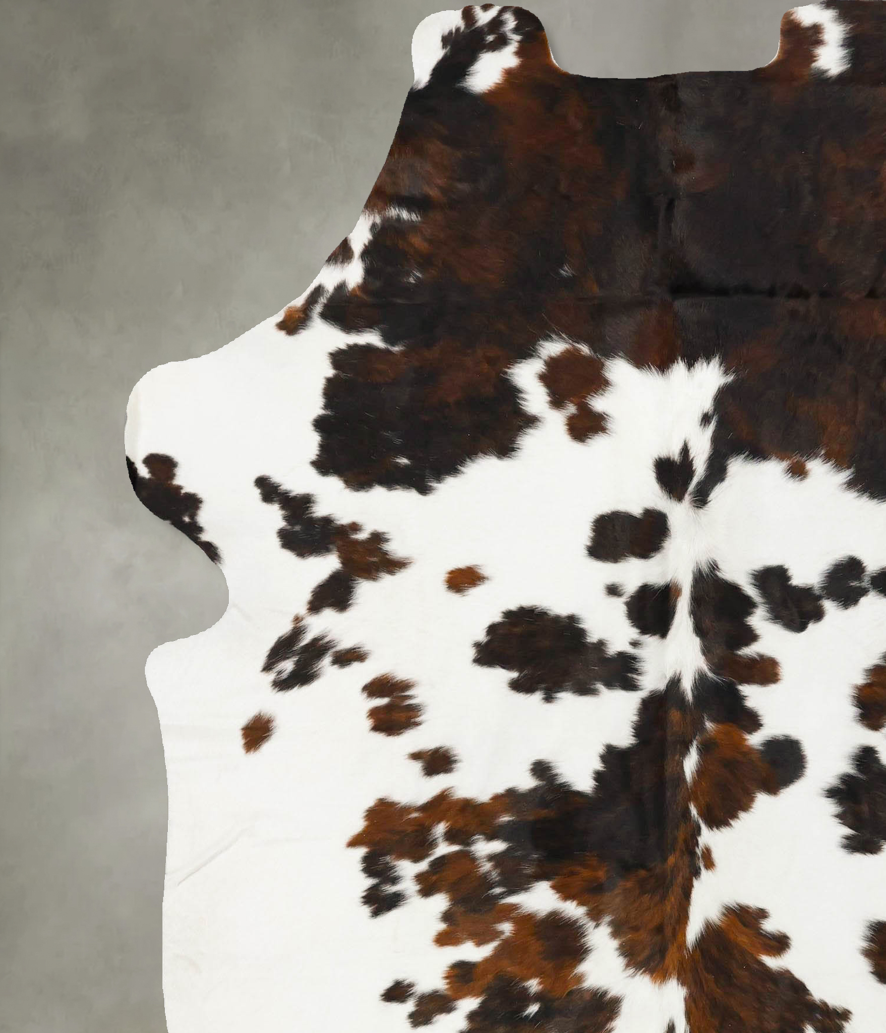 Tricolor Cowhide Rug #B23006