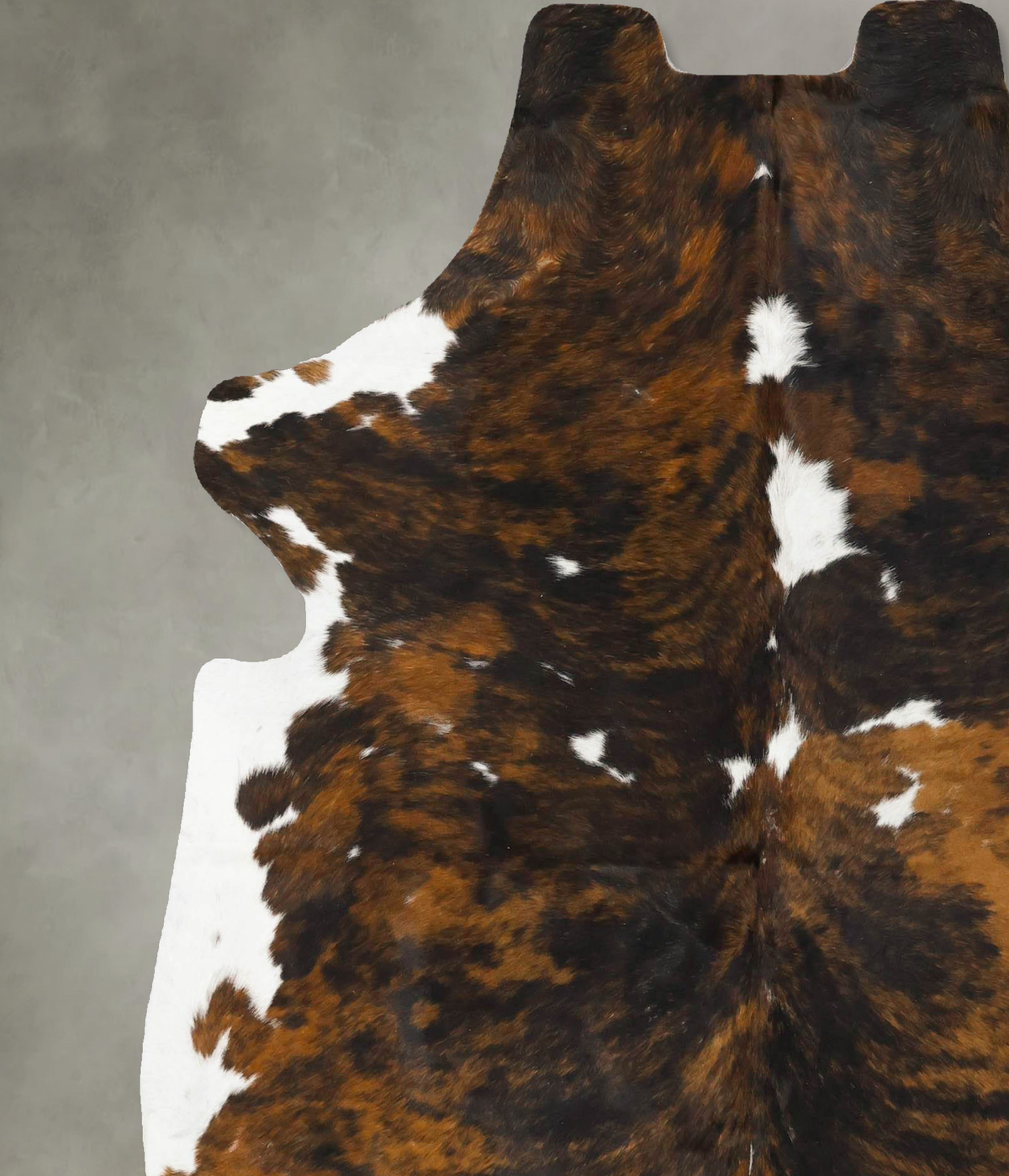 Tricolor X-Large European Cowhide Rug 7'3"H x 6'3"W #B23007 by Hudson Hides