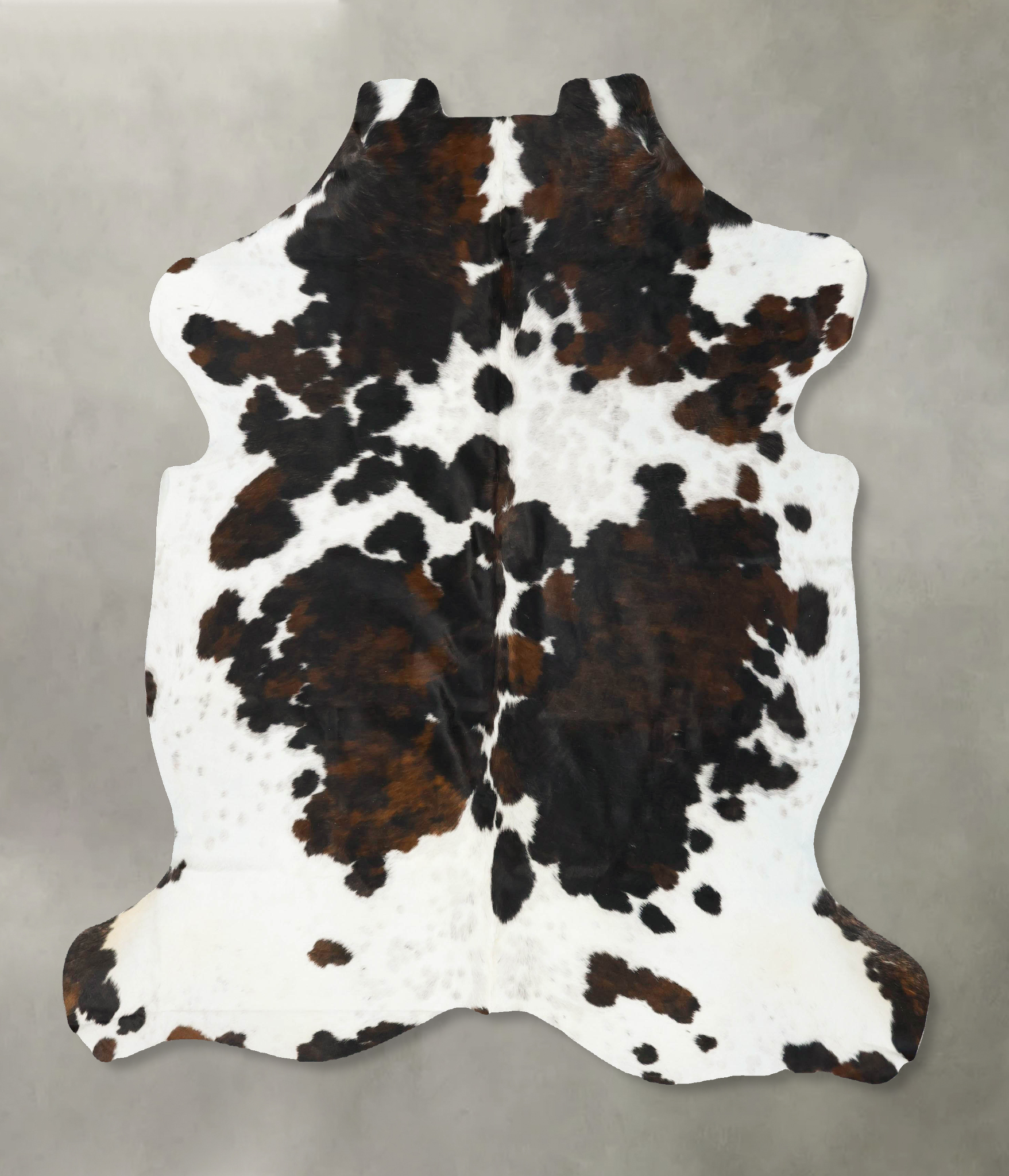 Tricolor Cowhide Rug #B23009