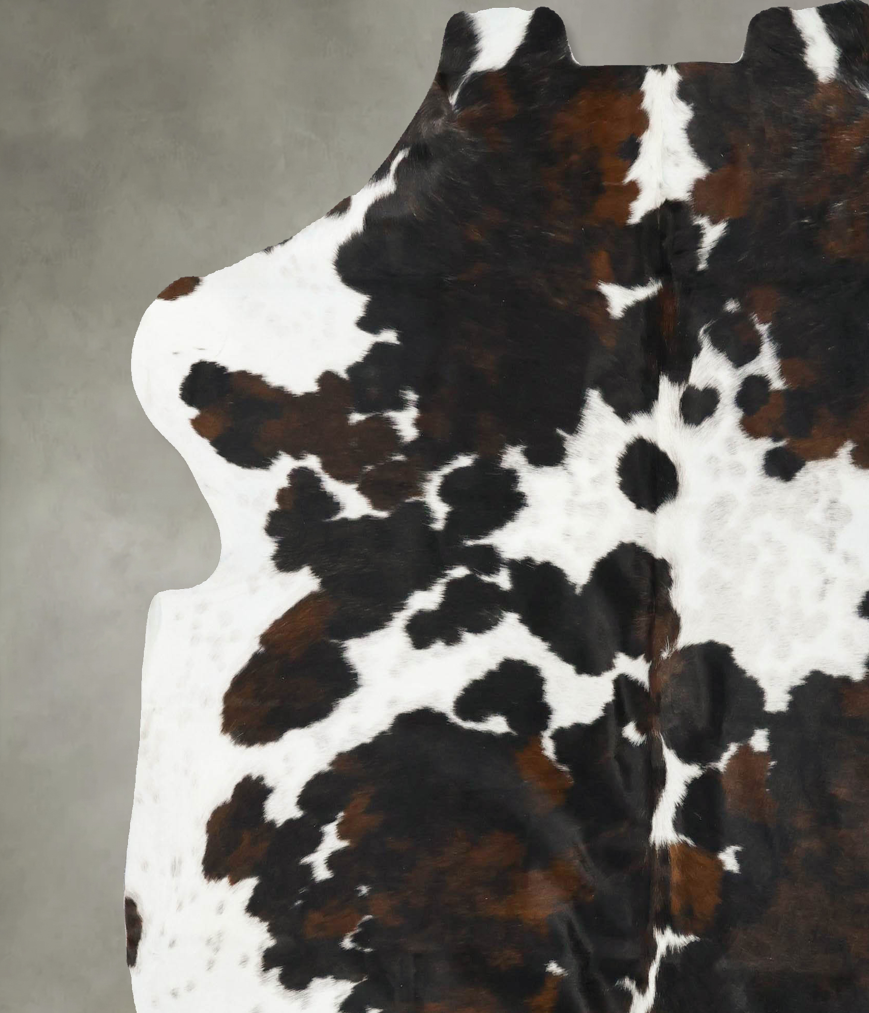 Tricolor Cowhide Rug #B23009