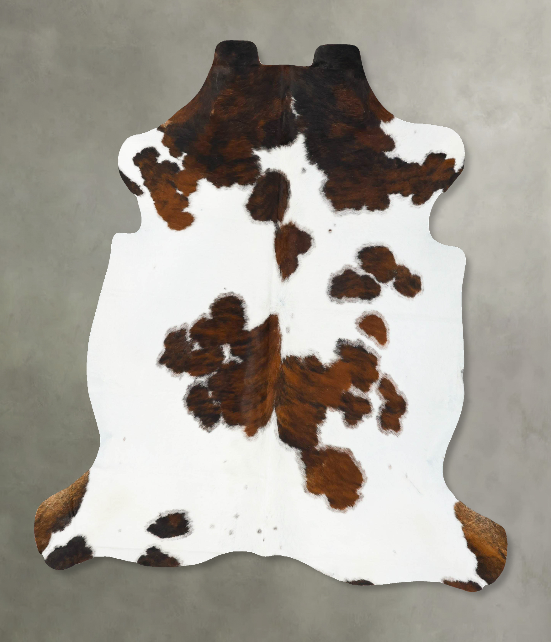 Tricolor Cowhide Rug #B23010