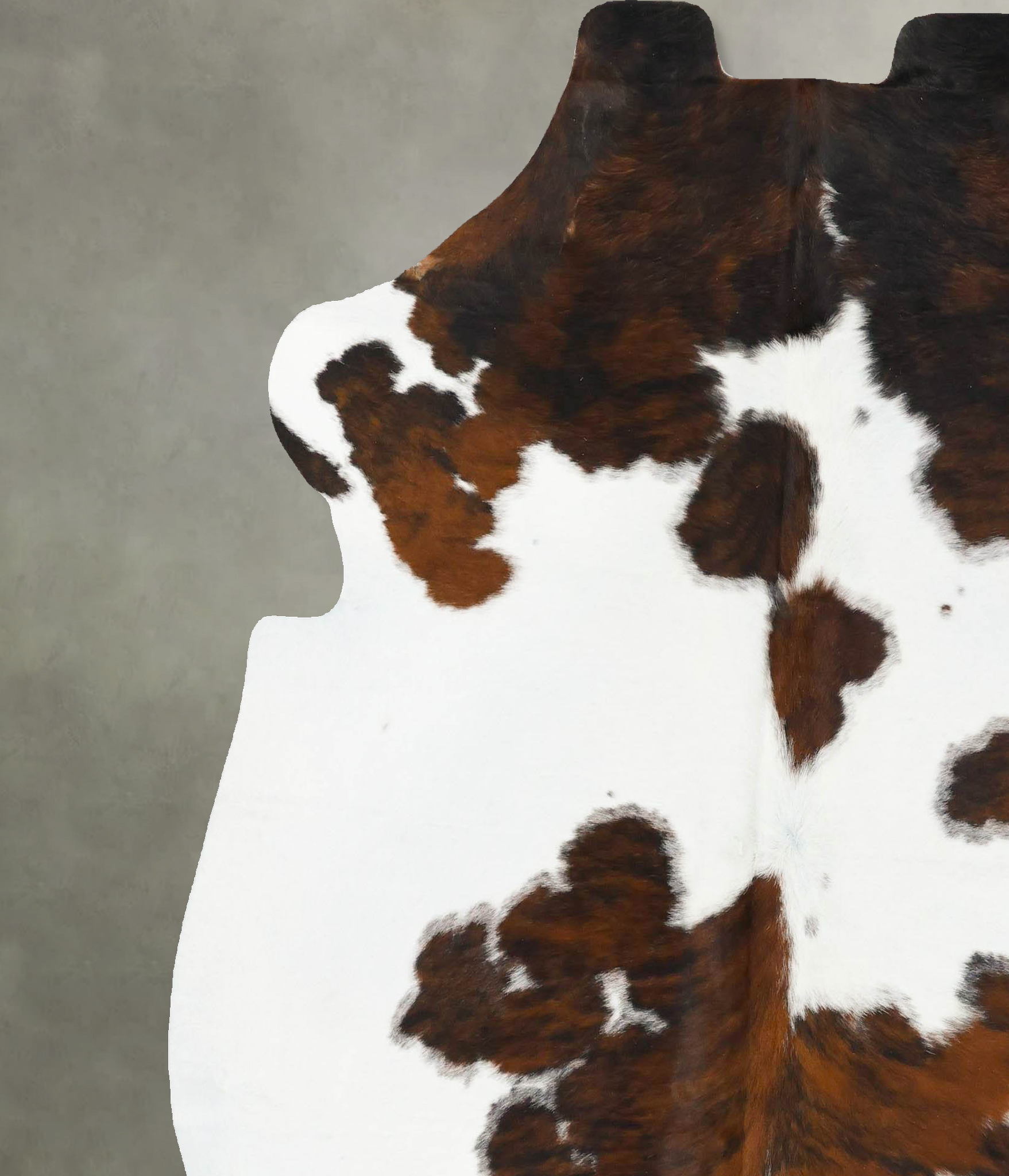 Tricolor Cowhide Rug #B23010