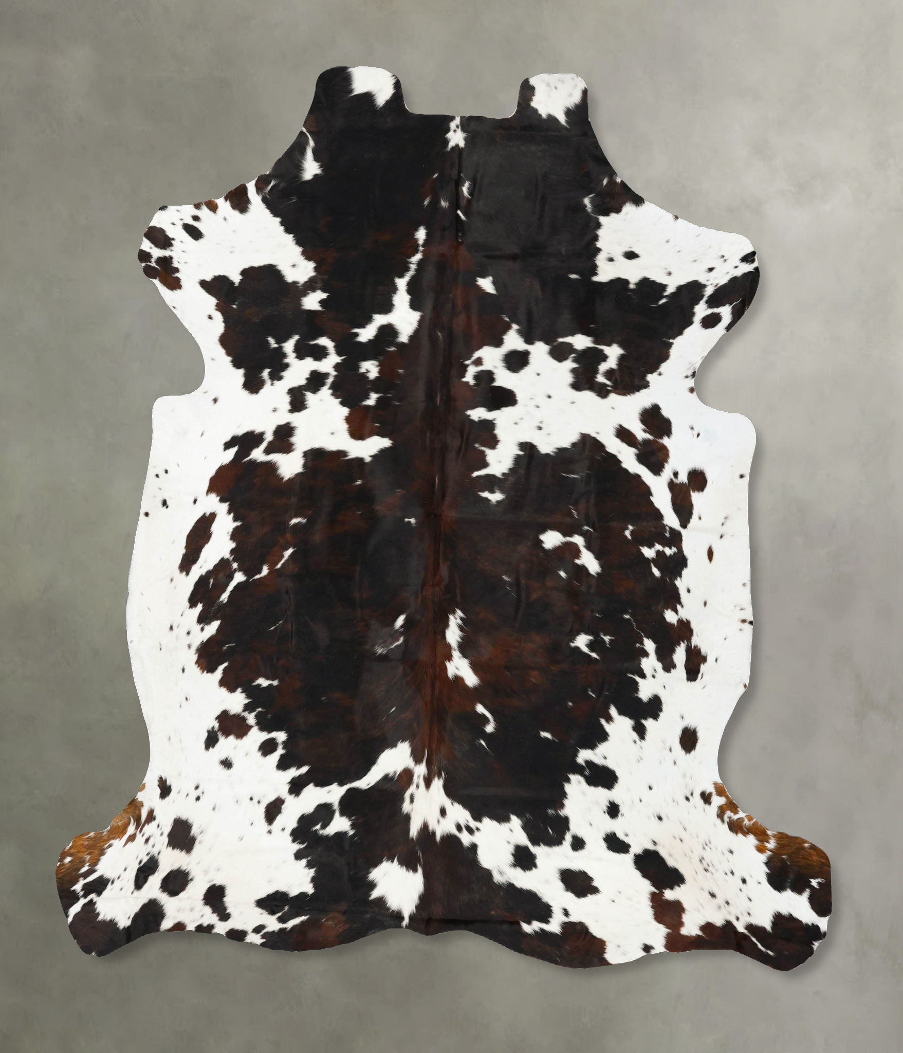 Tricolor Cowhide Rug #B23011