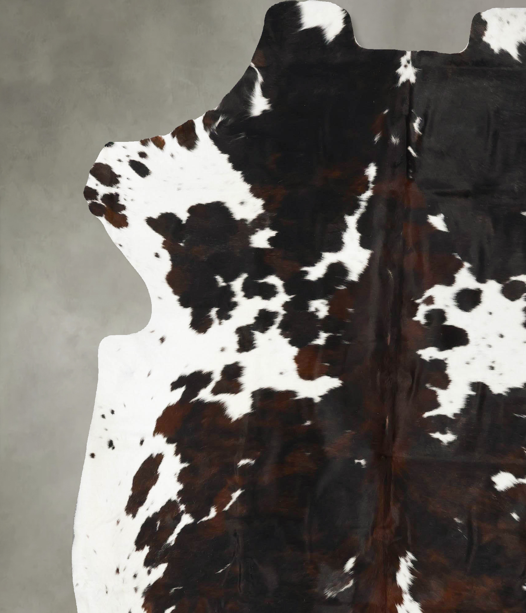 Tricolor Cowhide Rug #B23011