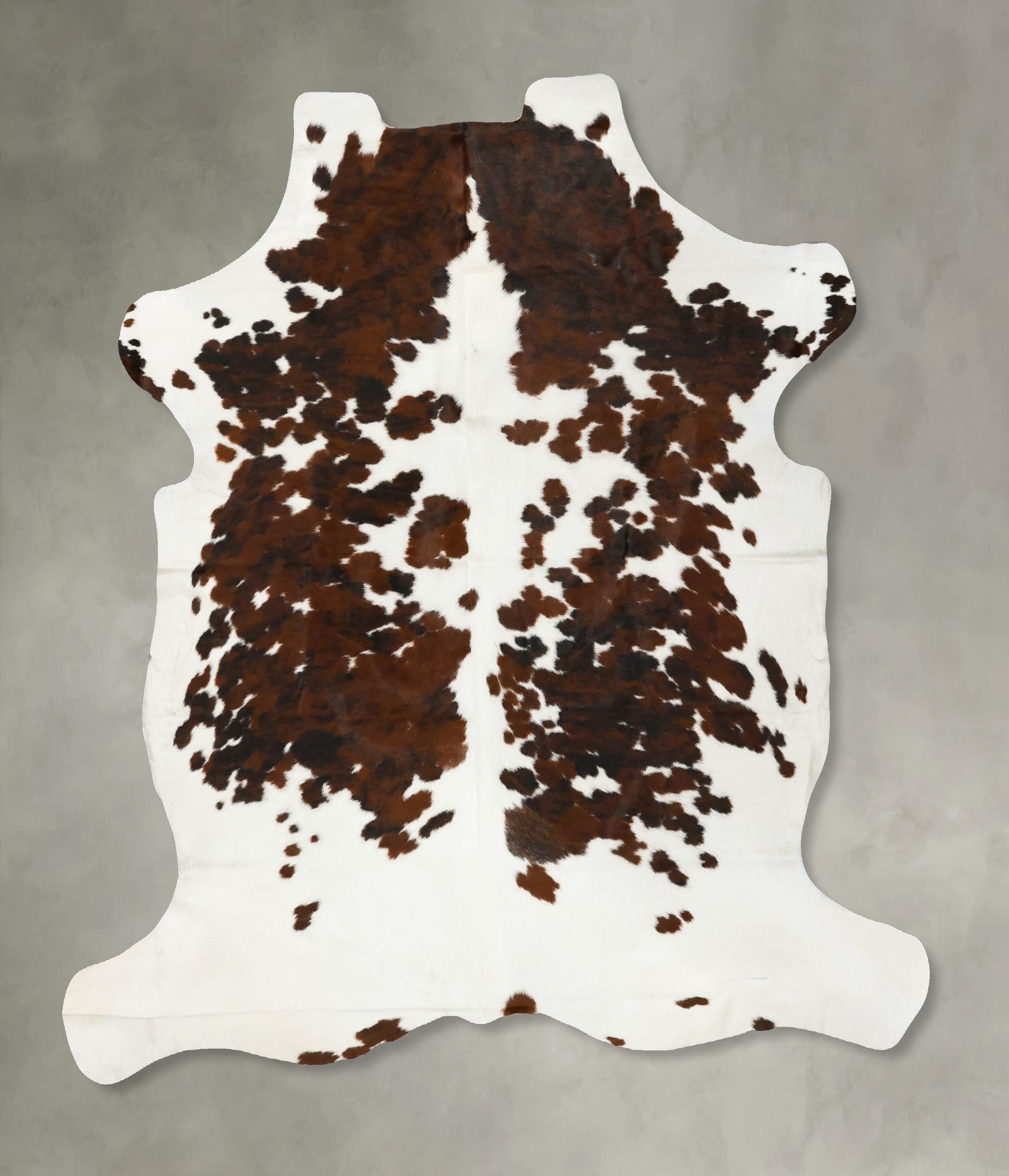 Tricolor Cowhide Rug #B23012