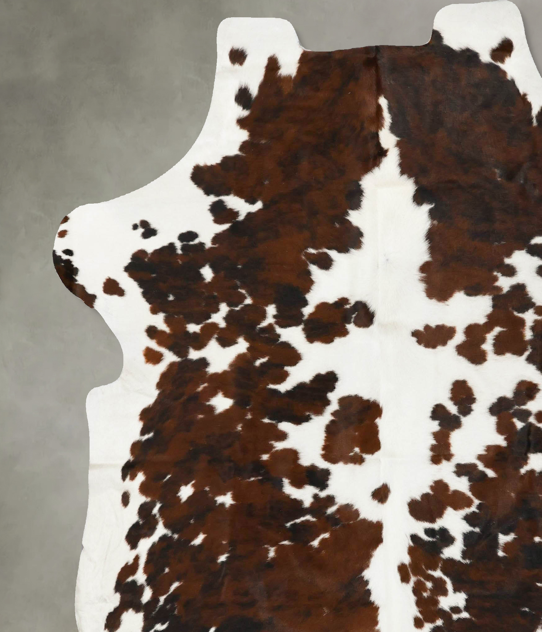 Tricolor Cowhide Rug #B23012