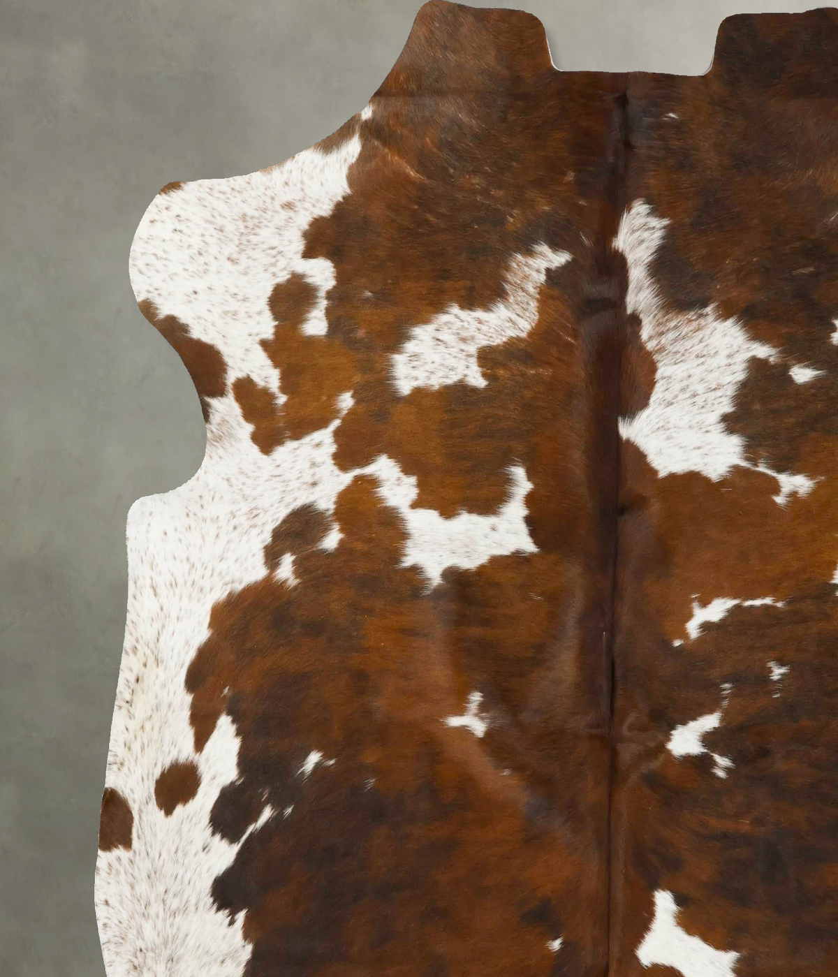 Tricolor X-Large European Cowhide Rug 6'10"H x 6'11"W #B23014 by Hudson Hides