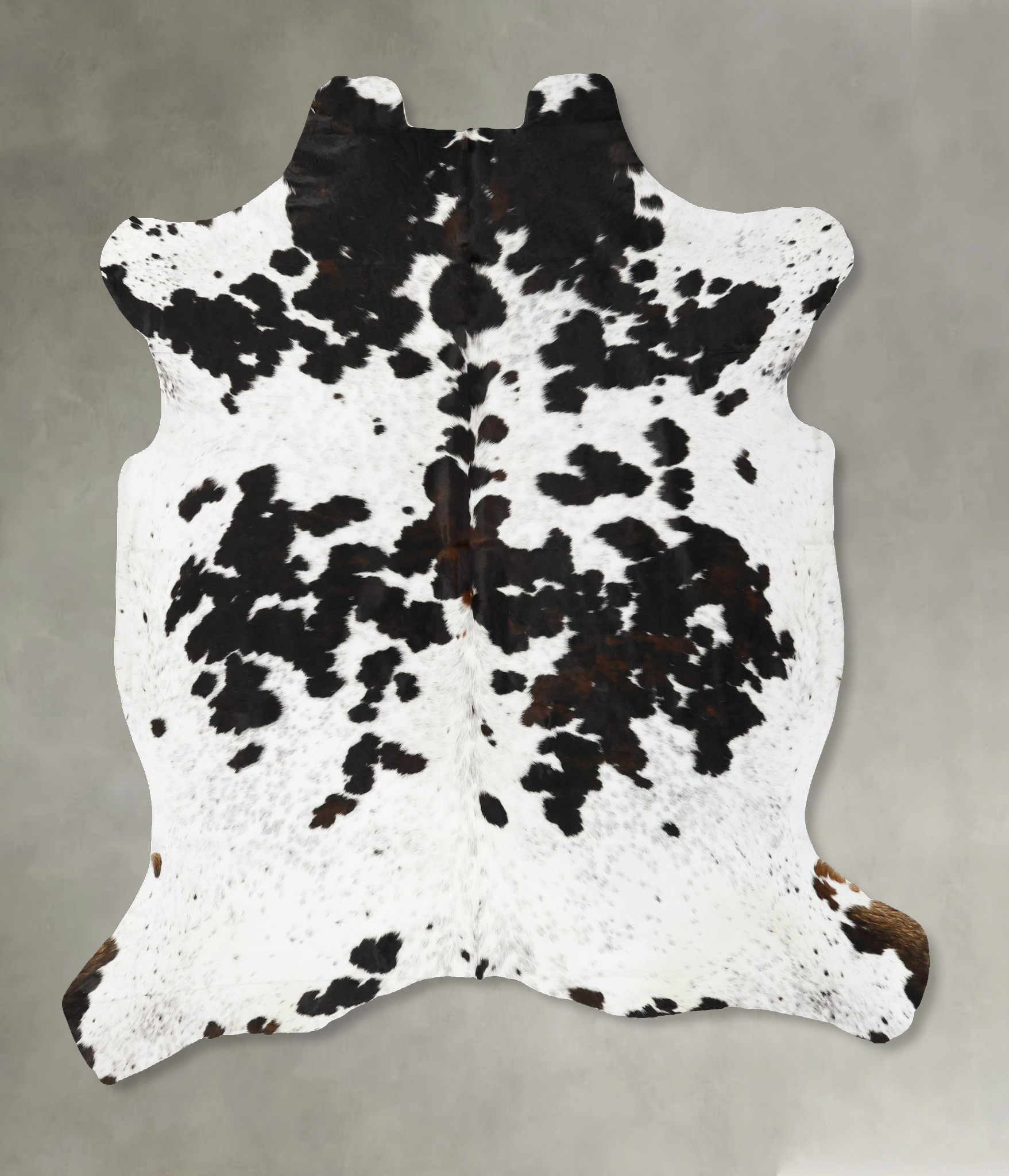 Tricolor Cowhide Rug #B23015