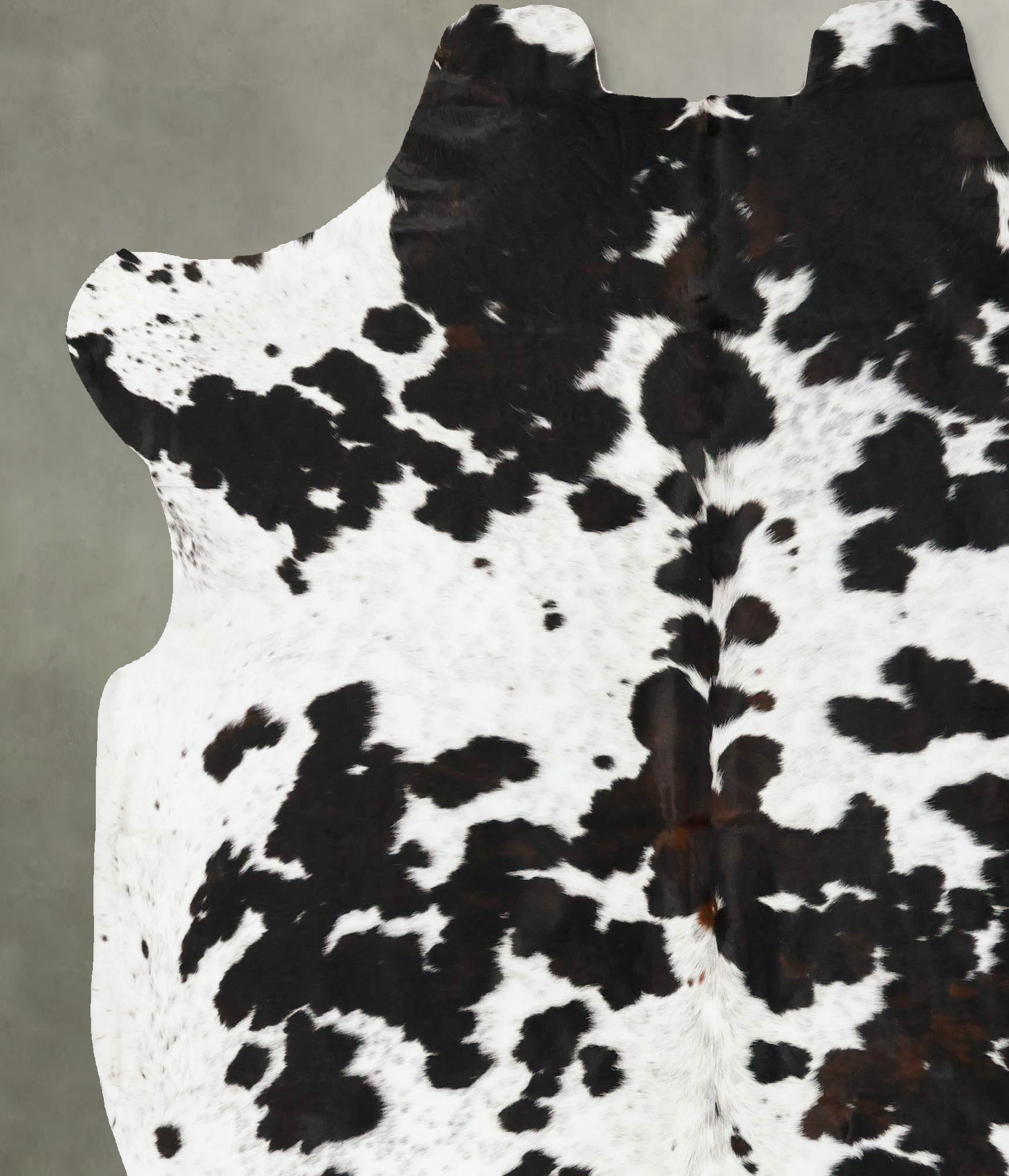 Tricolor Cowhide Rug #B23015