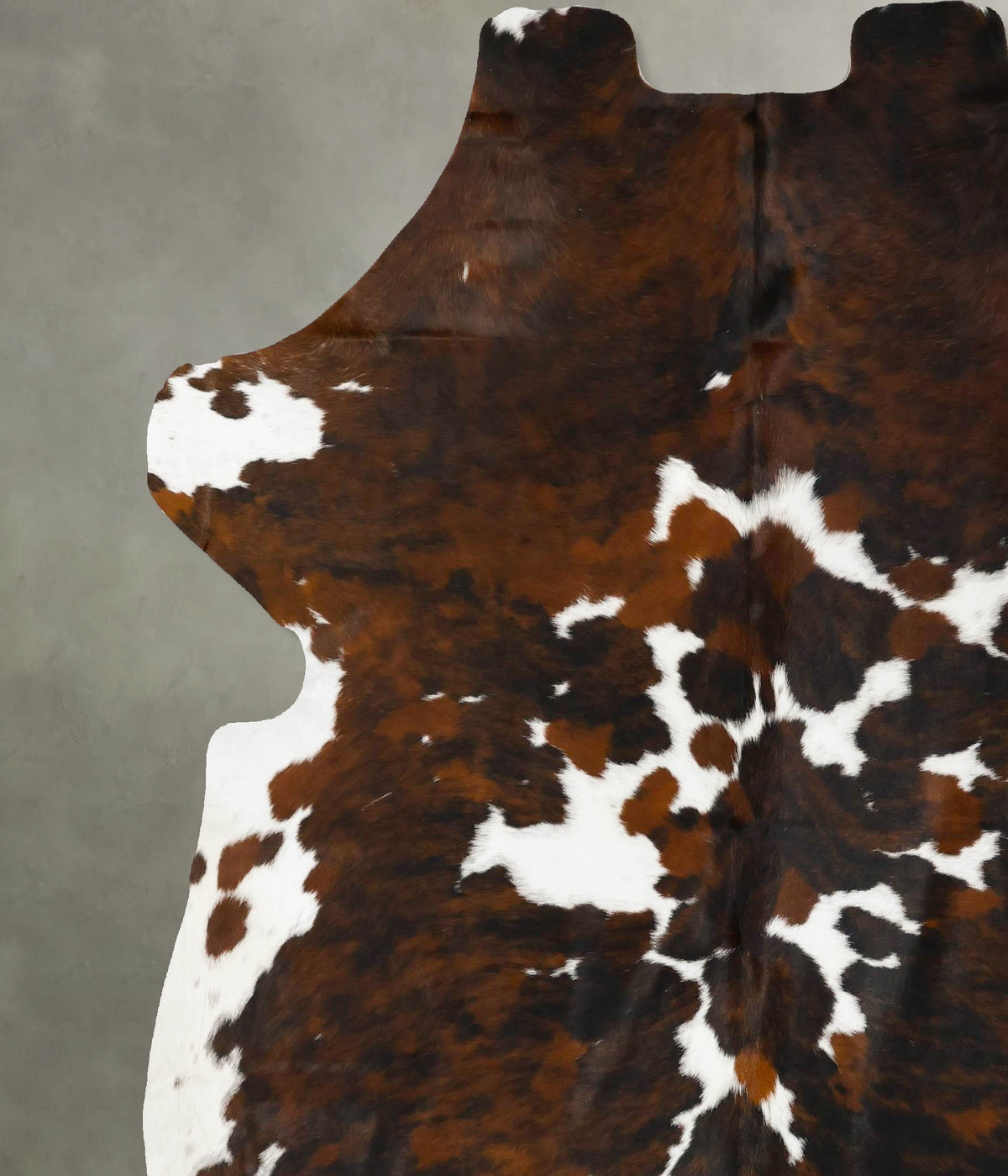 Tricolor XX-Large European Cowhide Rug 7'7"H x 7'1"W #B23016 by Hudson Hides