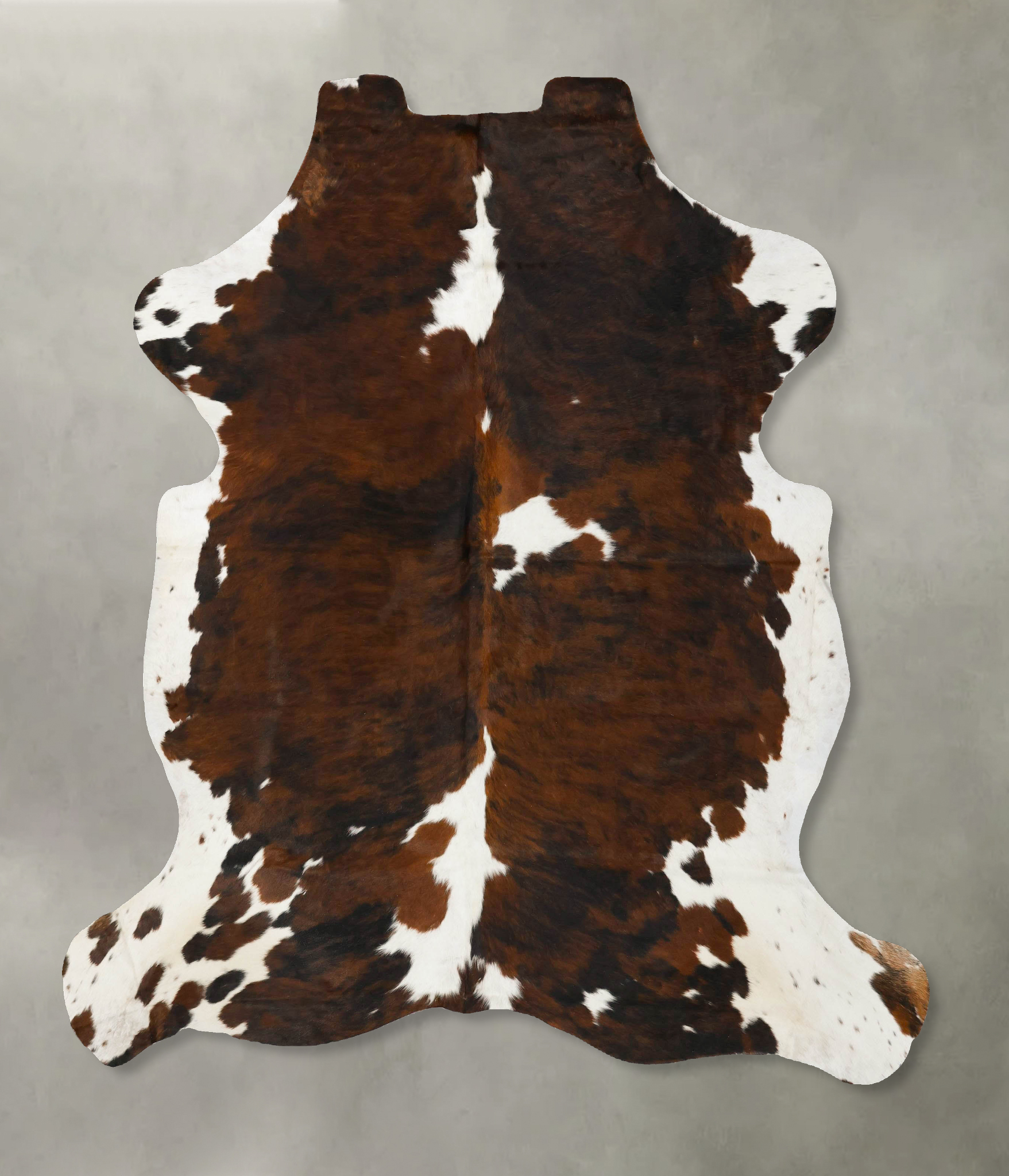 Tricolor Cowhide Rug #B23017