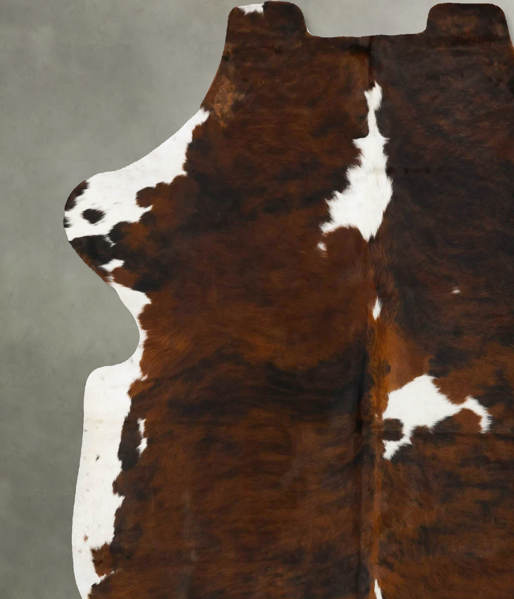 Tricolor Cowhide Rug #B23017
