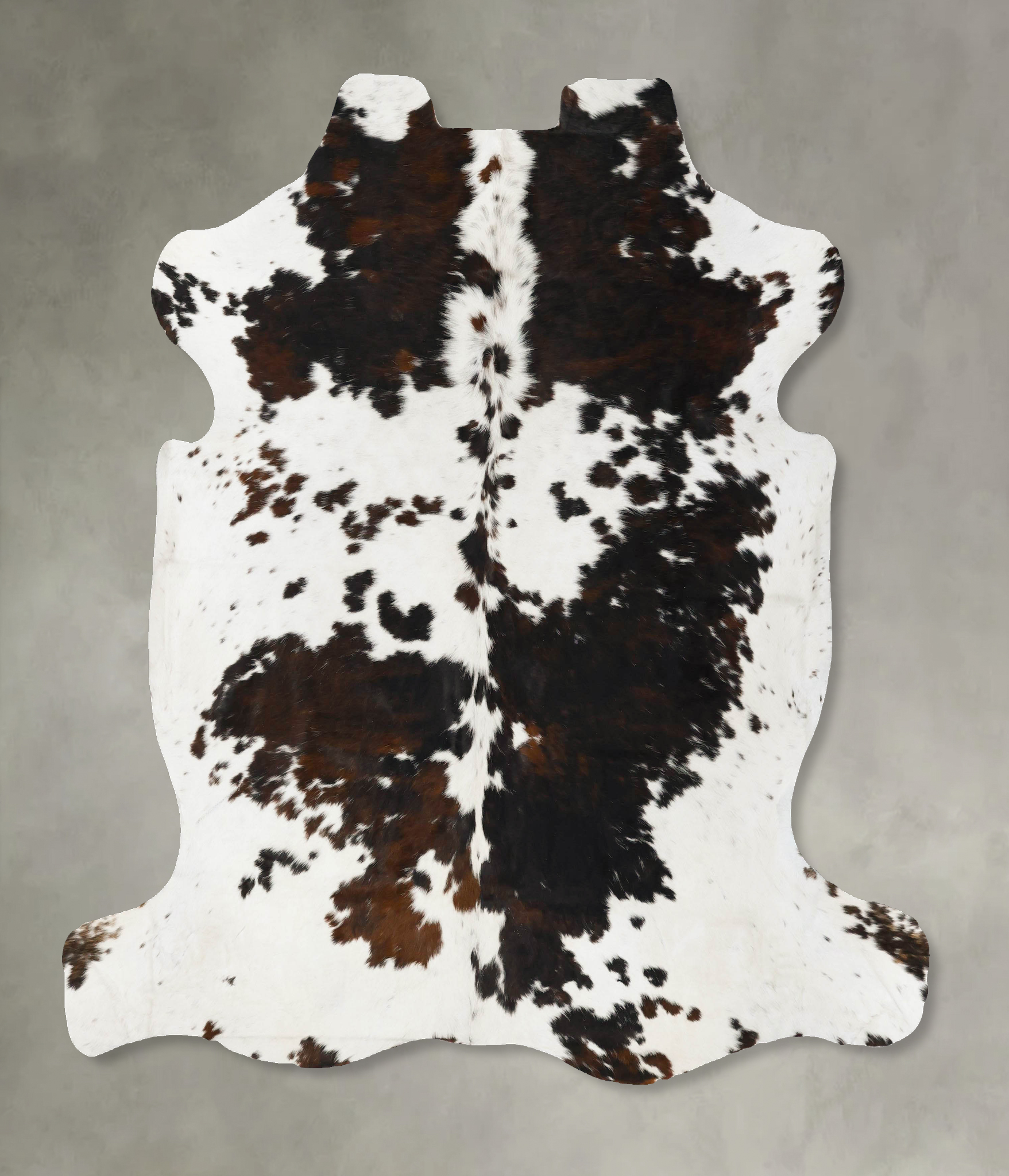 Tricolor Cowhide Rug #B23018