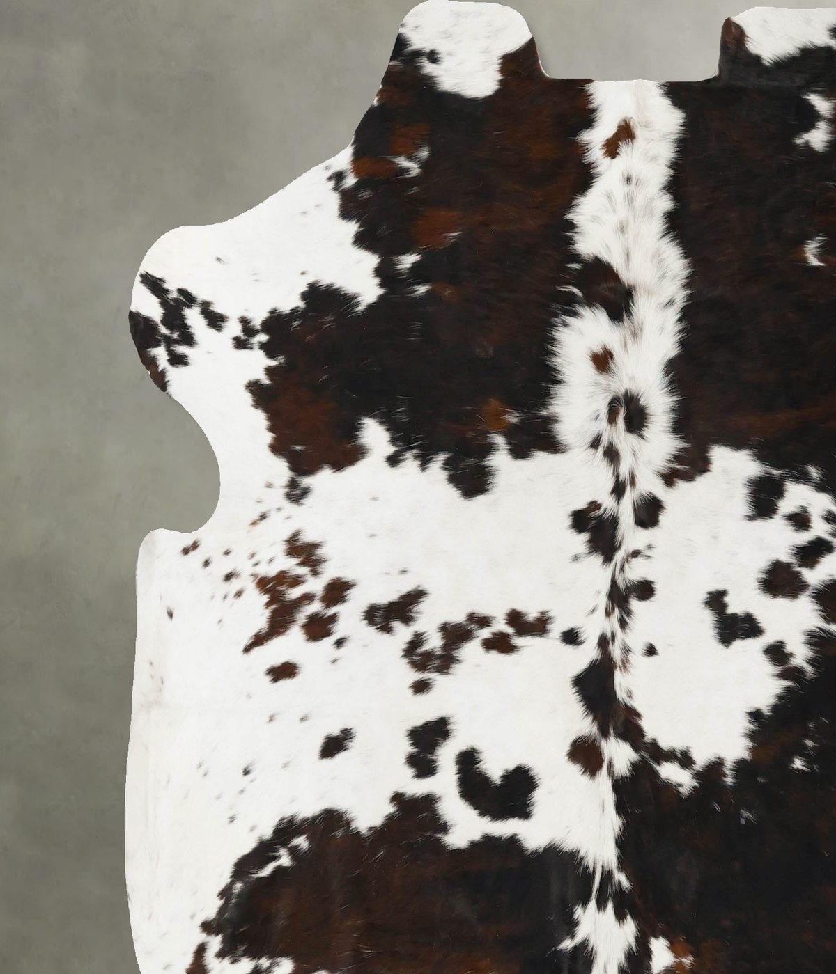 Tricolor X-Large European Cowhide Rug 6'11"H x 6'9"W #B23018 by Hudson Hides