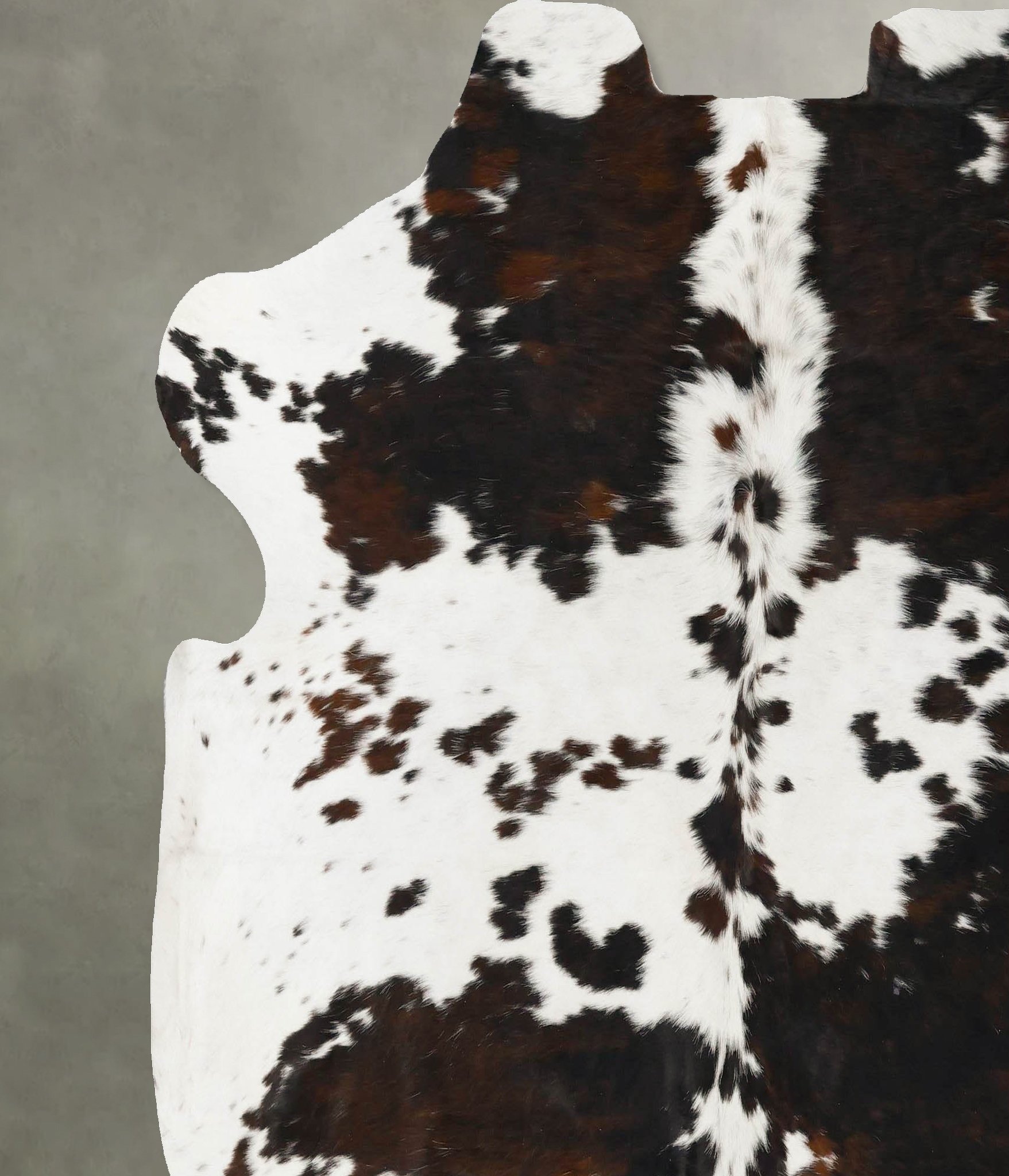 Tricolor Cowhide Rug #B23018