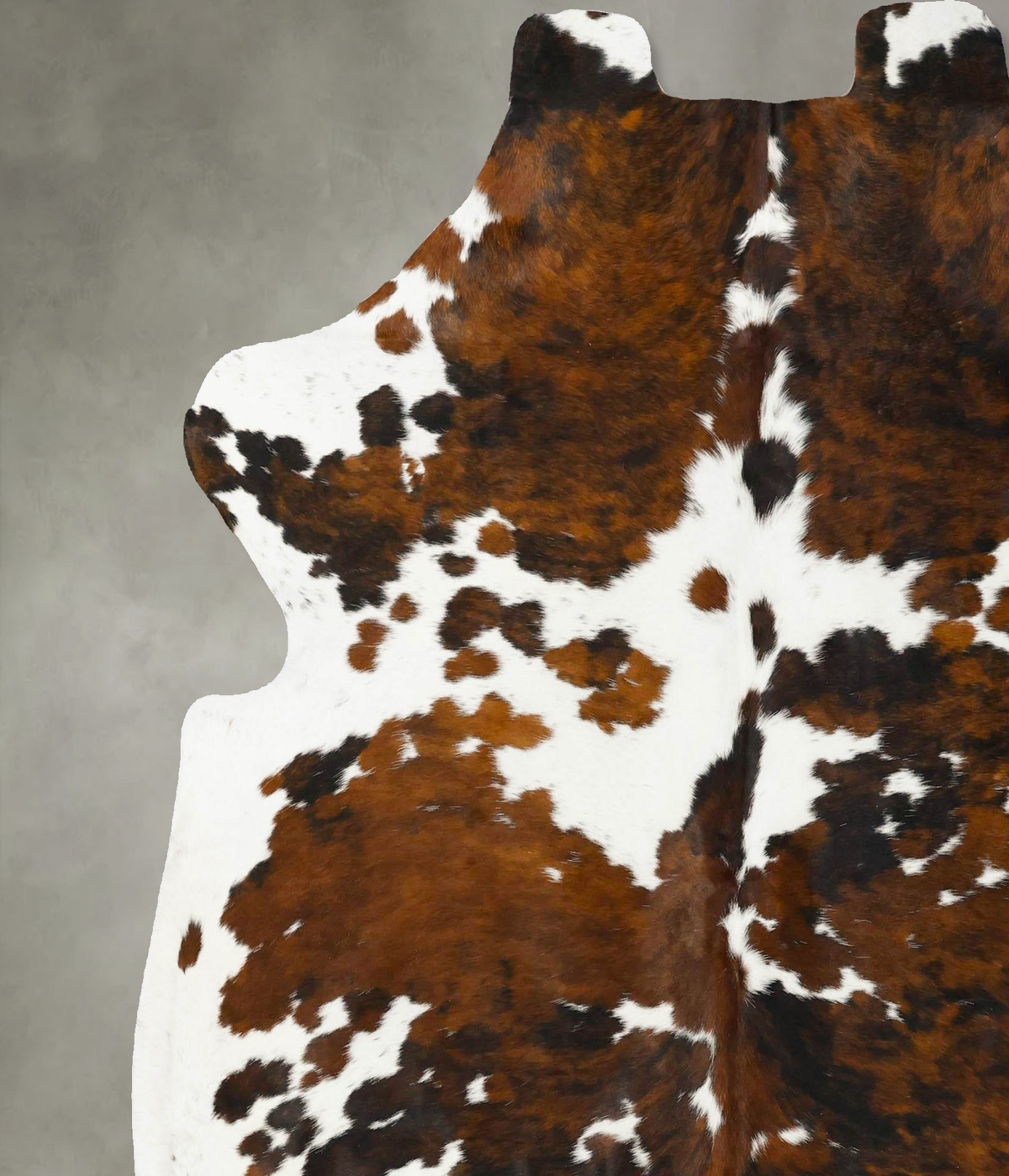 Tricolor X-Large European Cowhide Rug 6'11"H x 6'5"W #B23019 by Hudson Hides