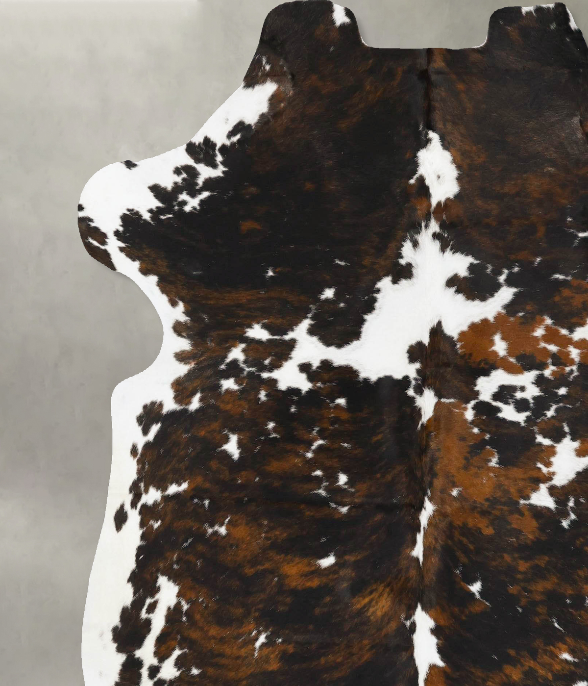 Tricolor X-Large European Cowhide Rug 7'3"H x 6'4"W #B23020 by Hudson Hides