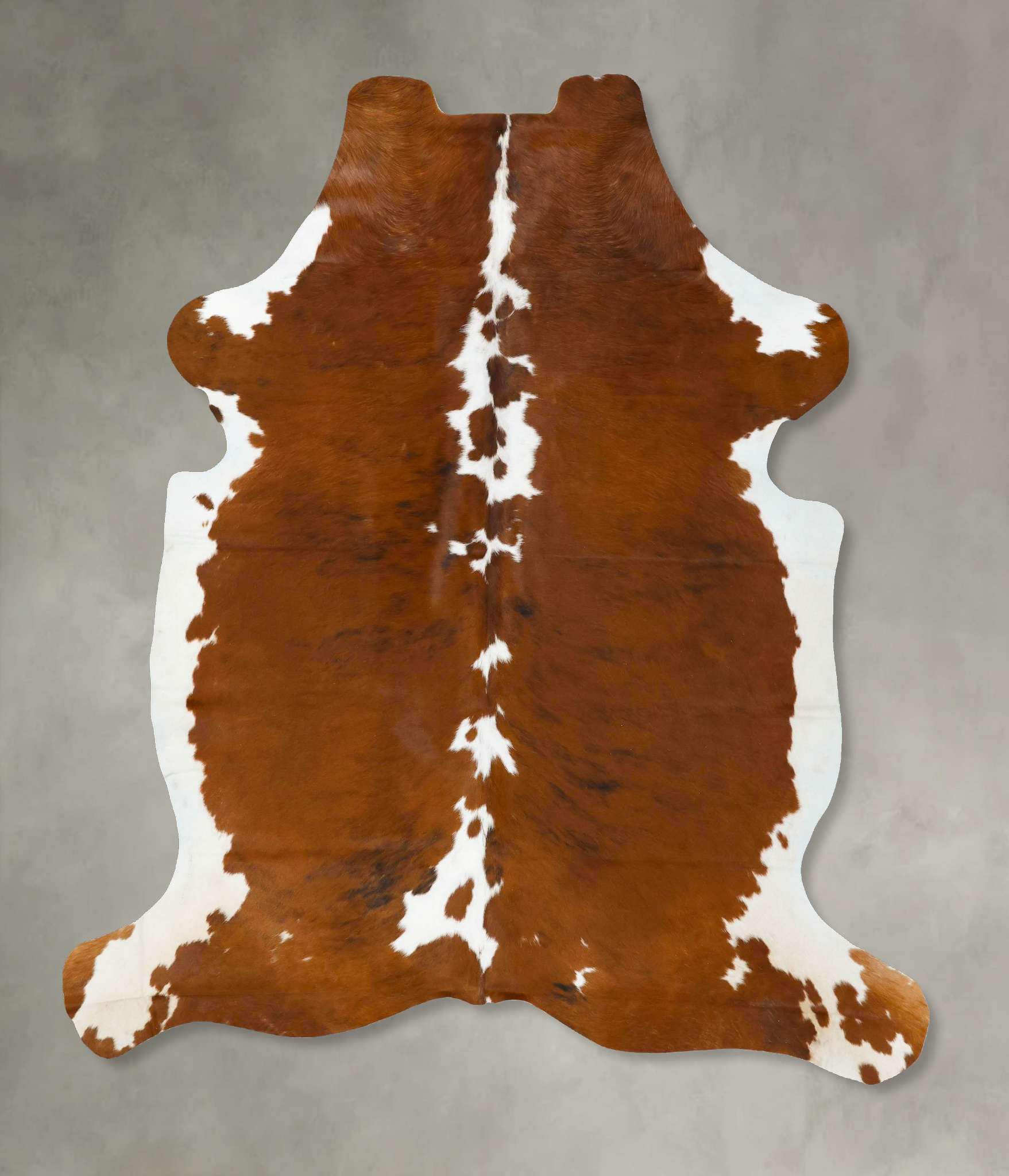 Tricolor Cowhide Rug #B23021