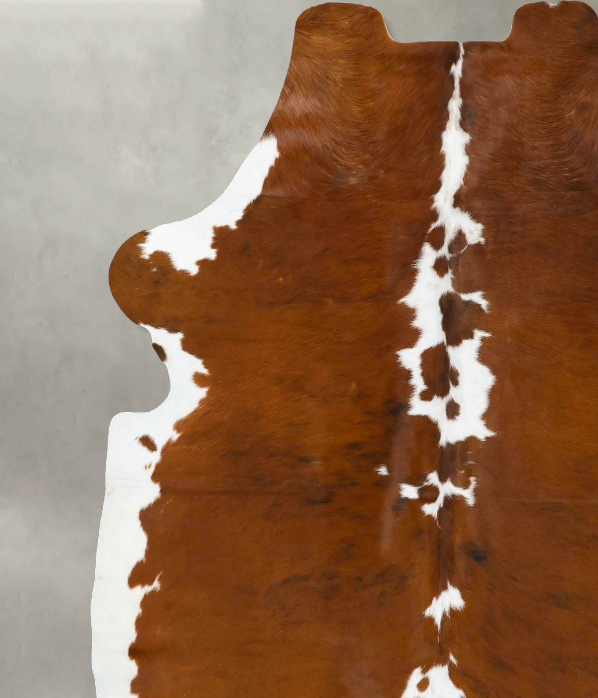 Tricolor X-Large European Cowhide Rug 7'6"H x 6'4"W #B23021 by Hudson Hides