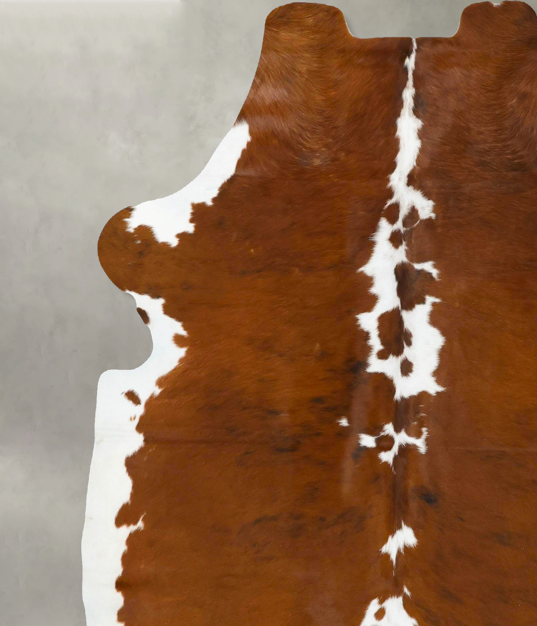 Tricolor Cowhide Rug #B23021