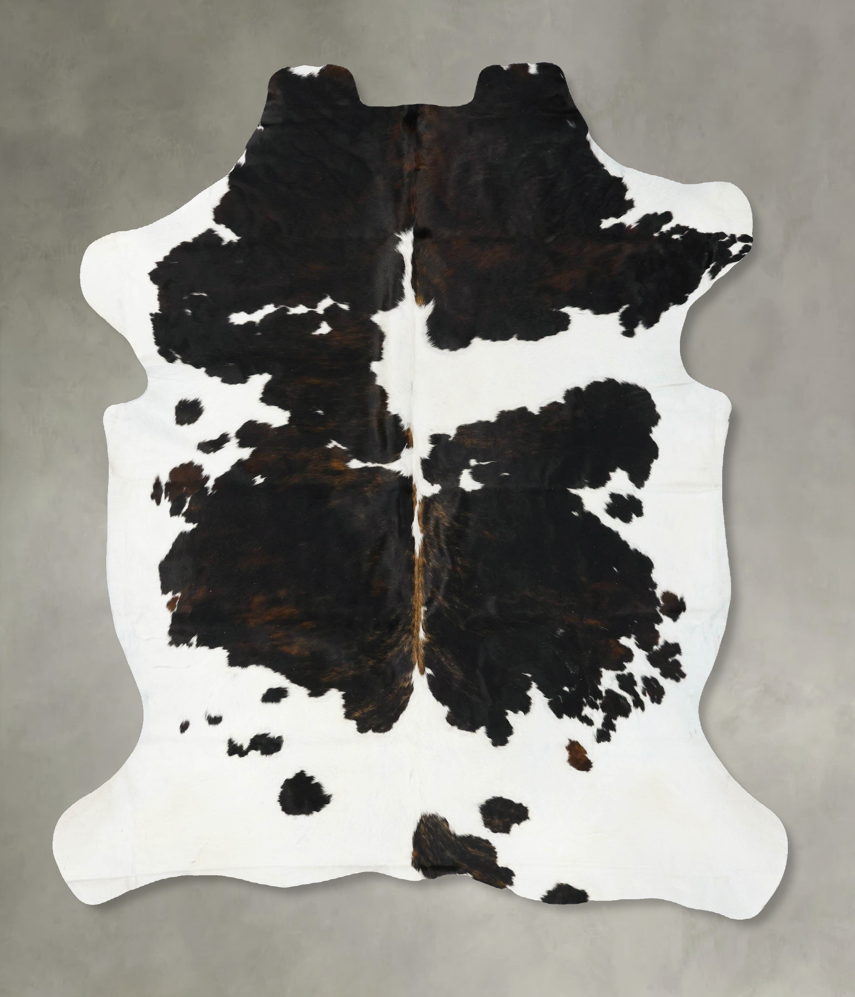 Tricolor Cowhide Rug #B23022
