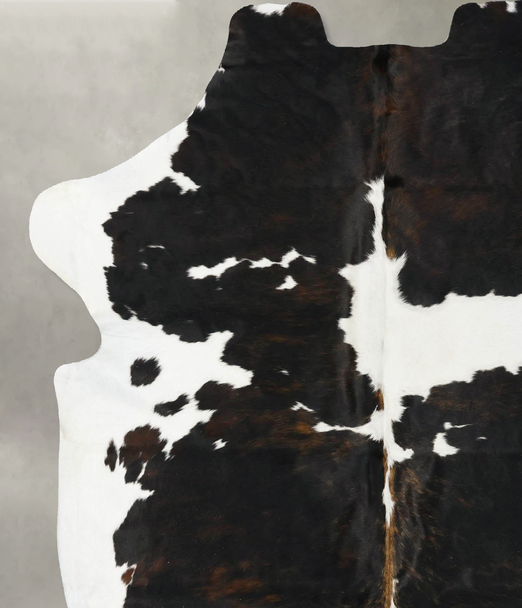 Tricolor Cowhide Rug #B23022