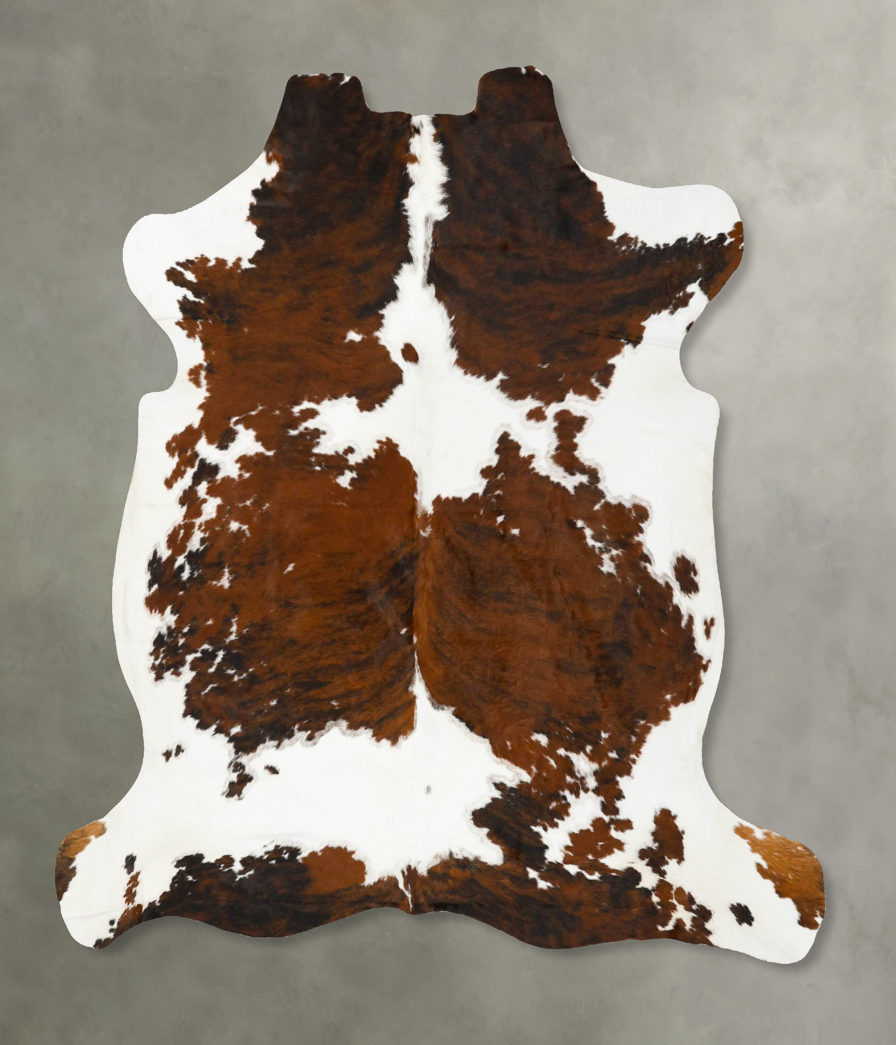 Tricolor Cowhide Rug #B23023