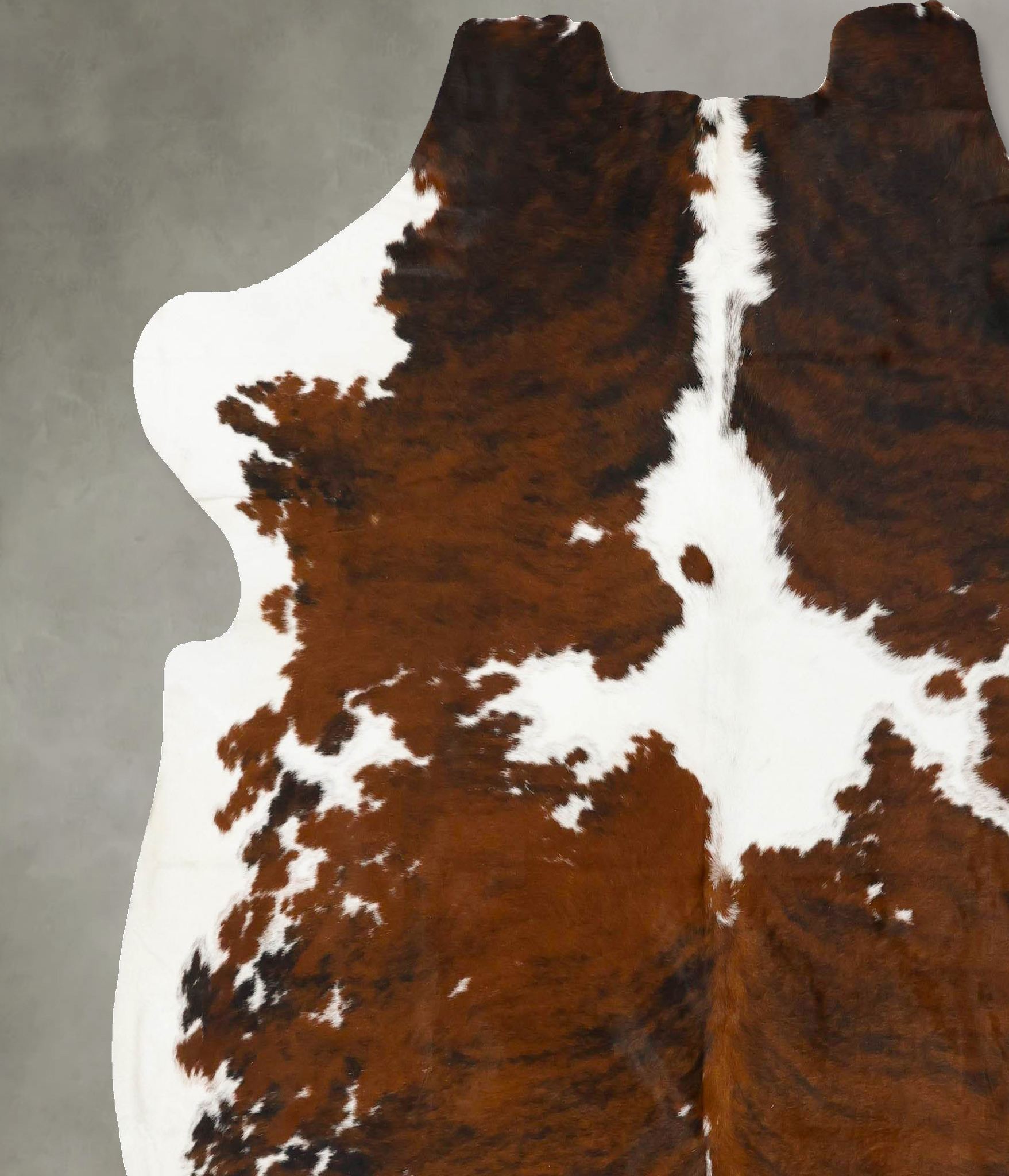 Tricolor Cowhide Rug #B23023
