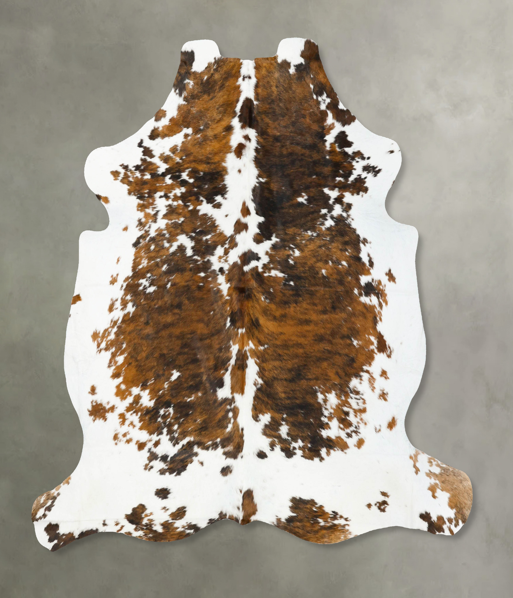 Tricolor Cowhide Rug #B23024