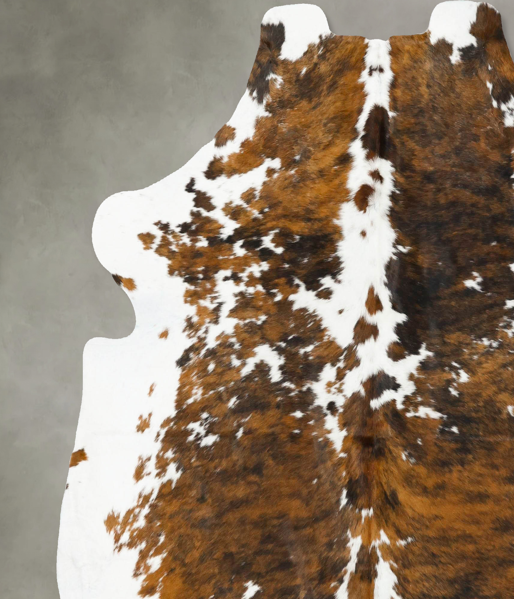 Tricolor Cowhide Rug #B23024