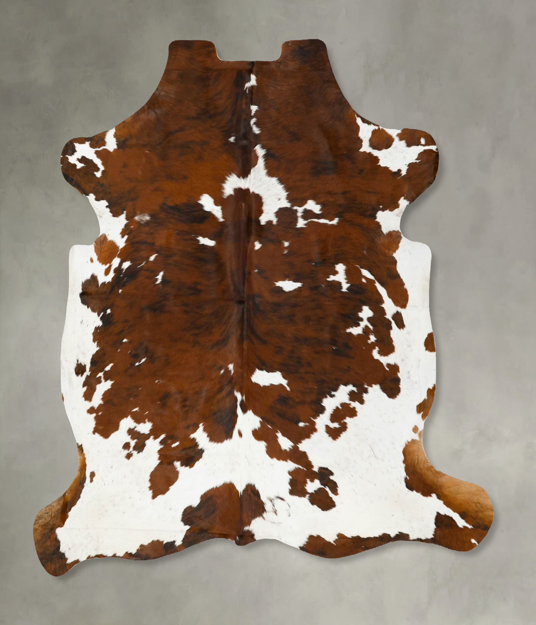 Tricolor Cowhide Rug #B23025