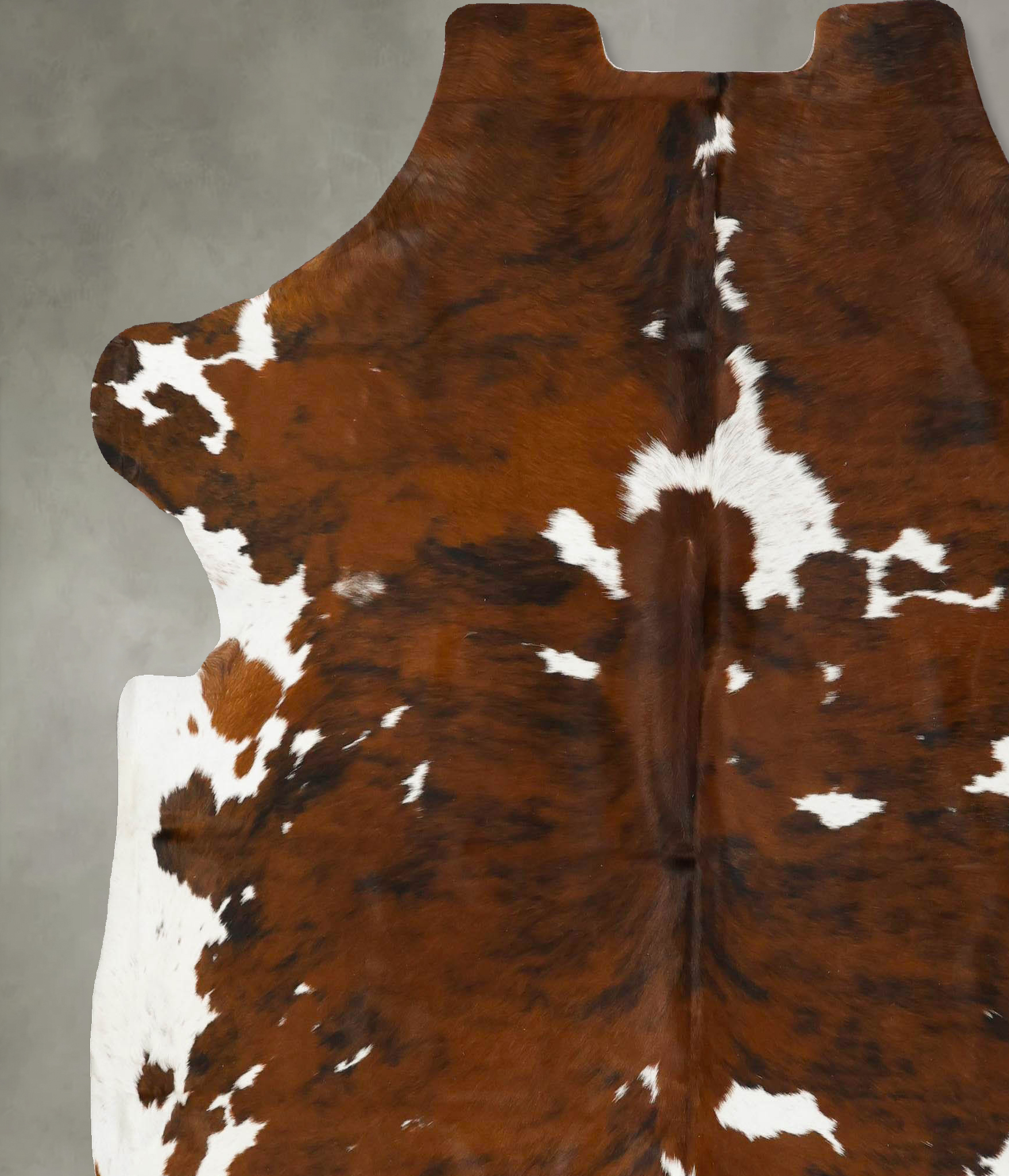 Tricolor Cowhide Rug #B23025