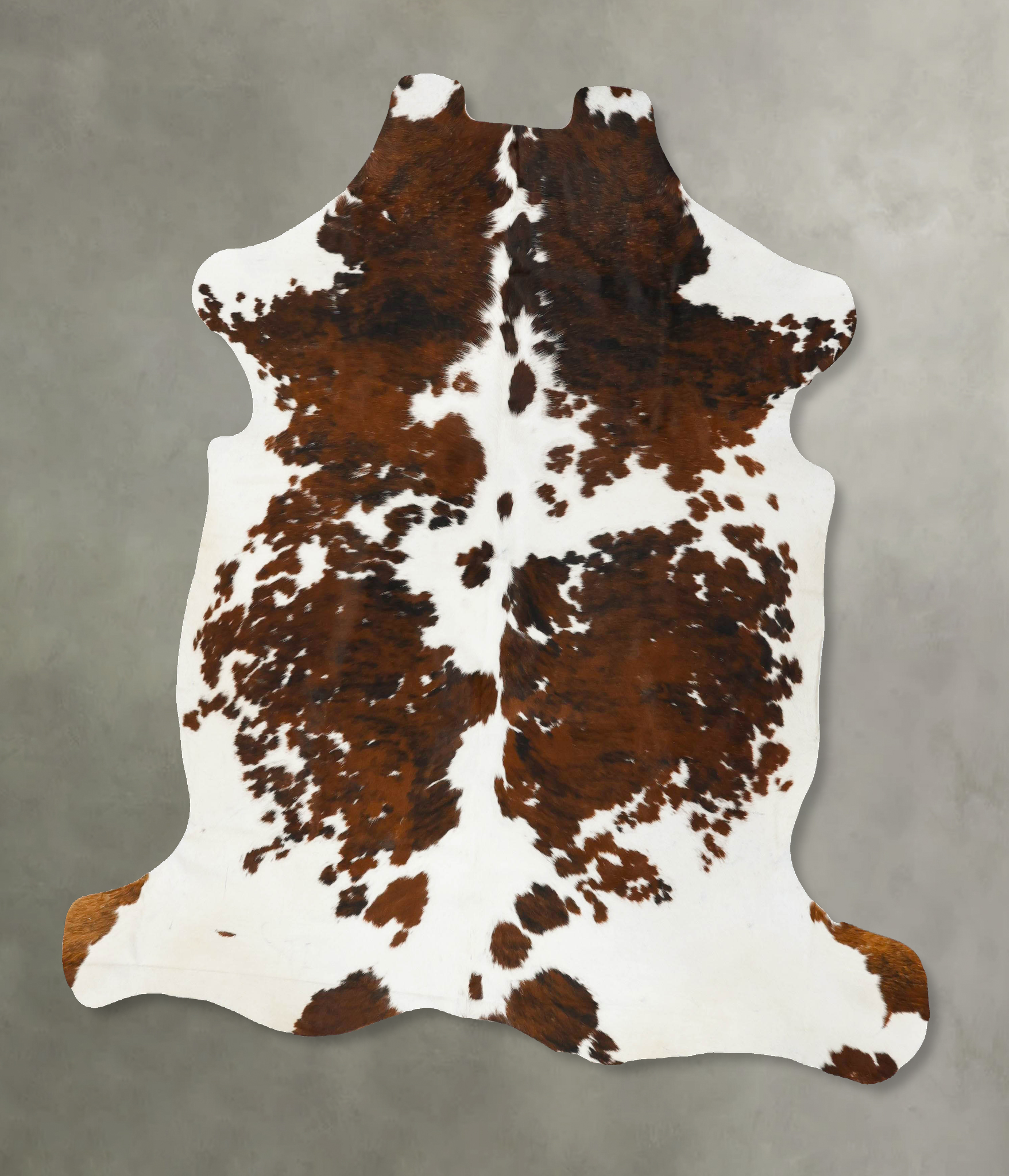 Tricolor Cowhide Rug #B23026
