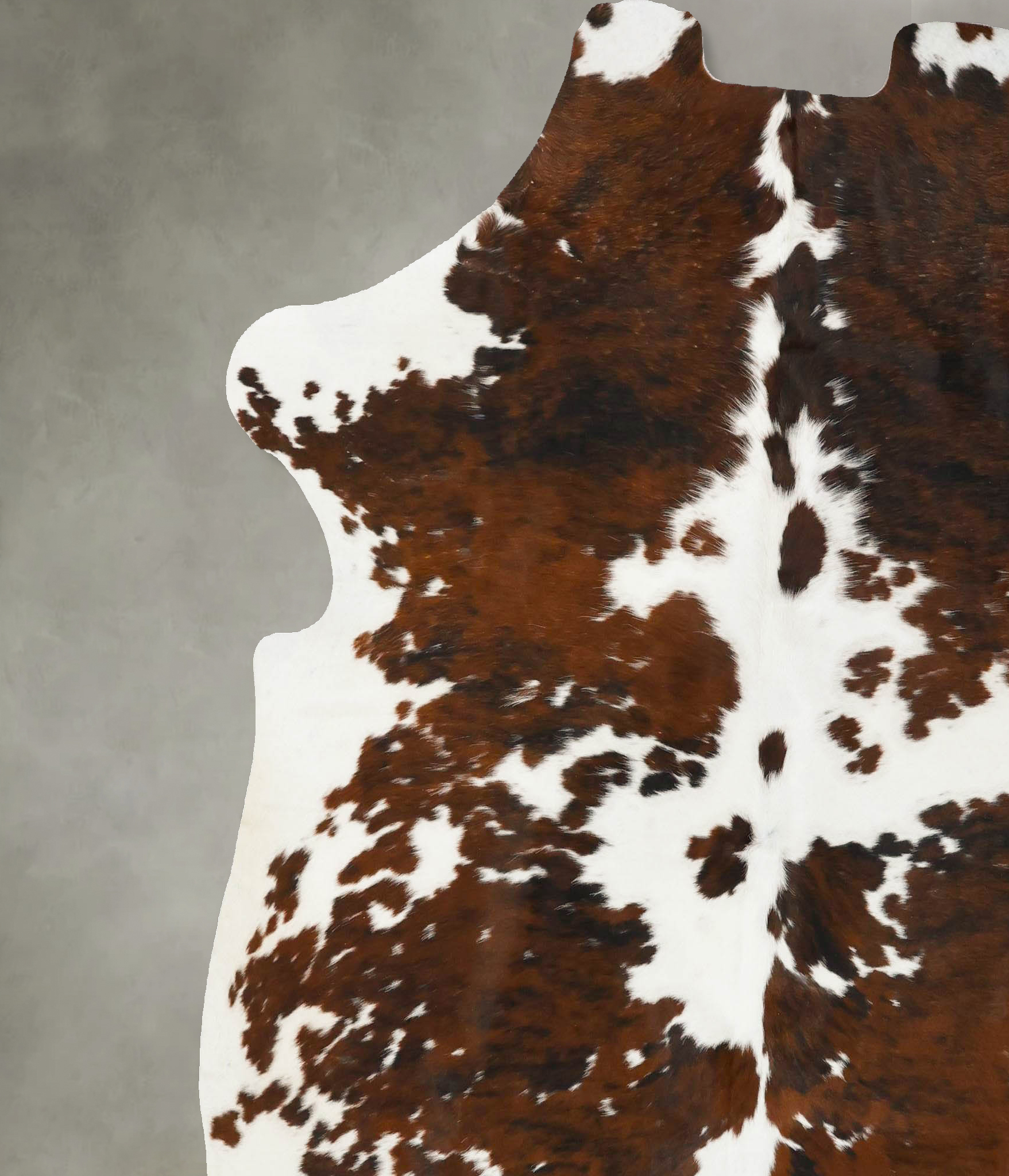 Tricolor Cowhide Rug #B23026