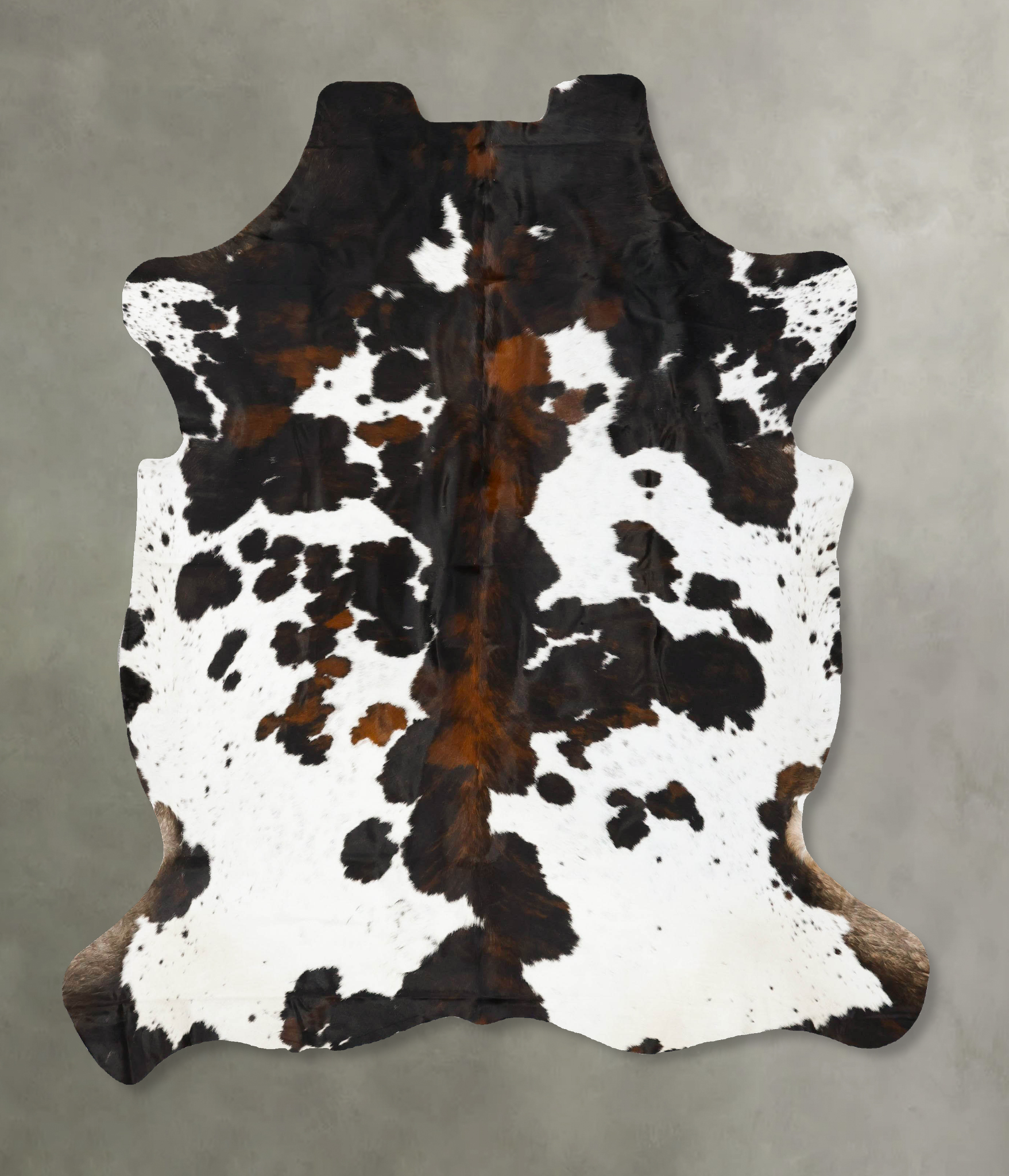 Tricolor Cowhide Rug #B23028
